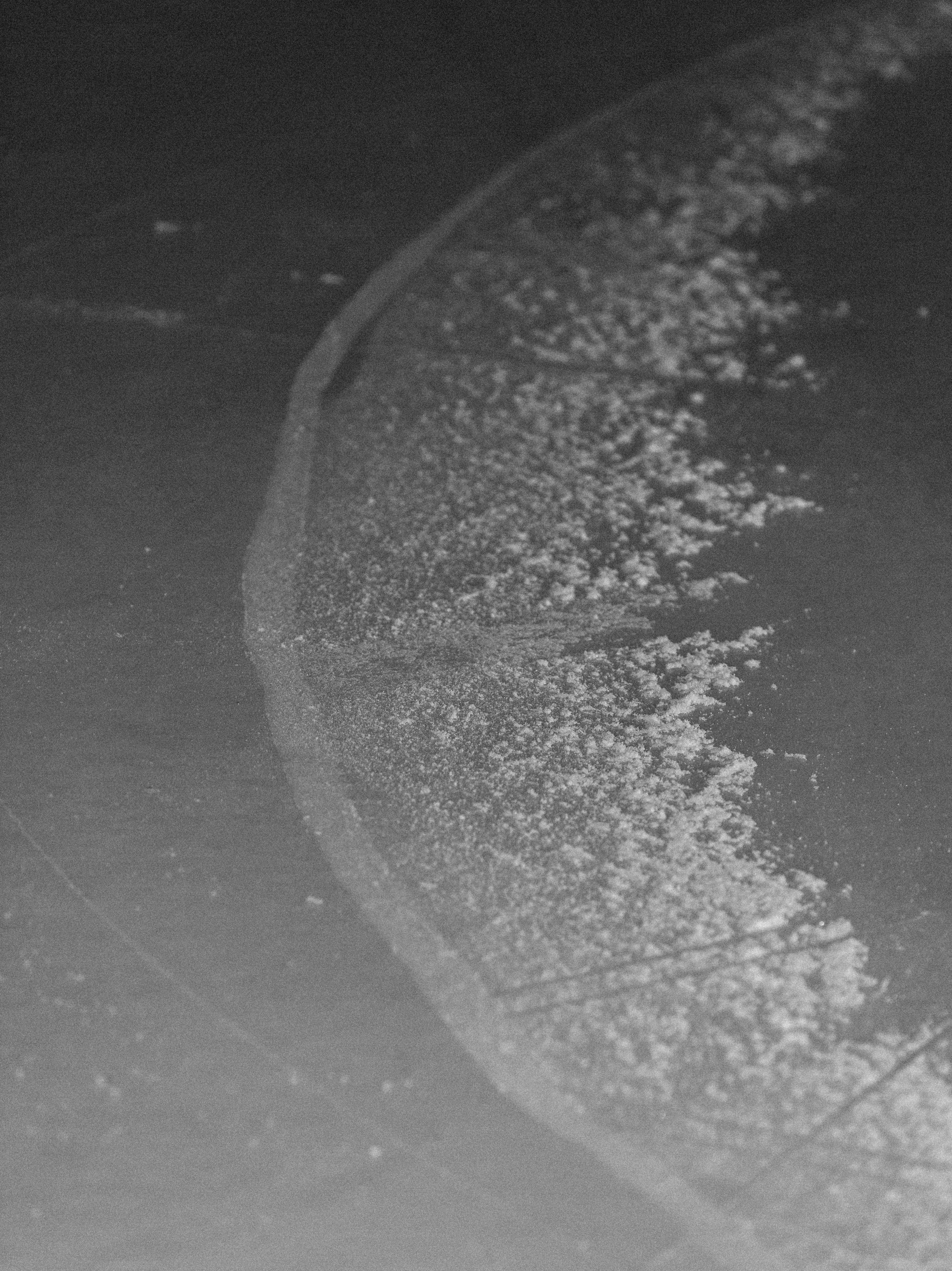 Lilly_Milan Olympics Paralympics_Jack Wallace_Robbie Lawrence_1289.jpg