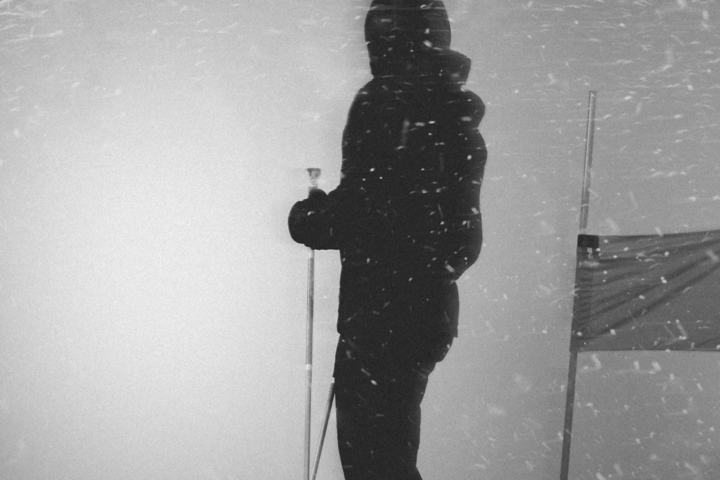 Lilly_Milan Olympics Paralympics_Mikaela Shiffrin_Robbie Lawrence_0366_V5.jpg