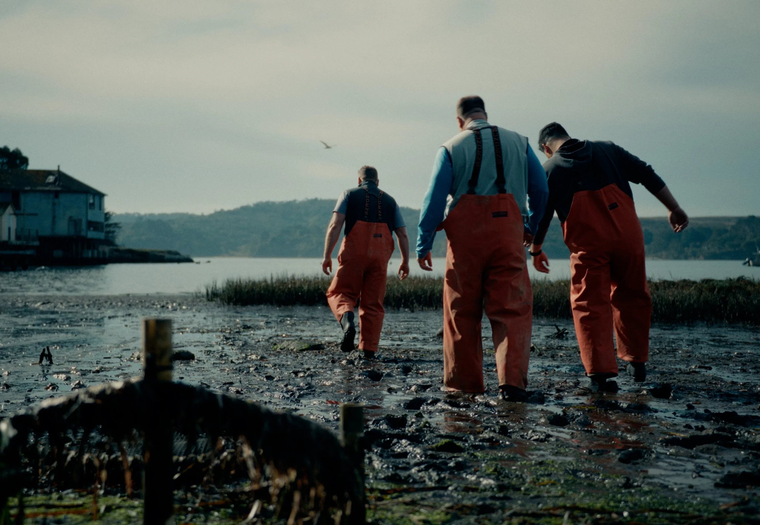 chefs of levy foods sourcing the ingredients for the dishes for super bowl LX in the bay area.