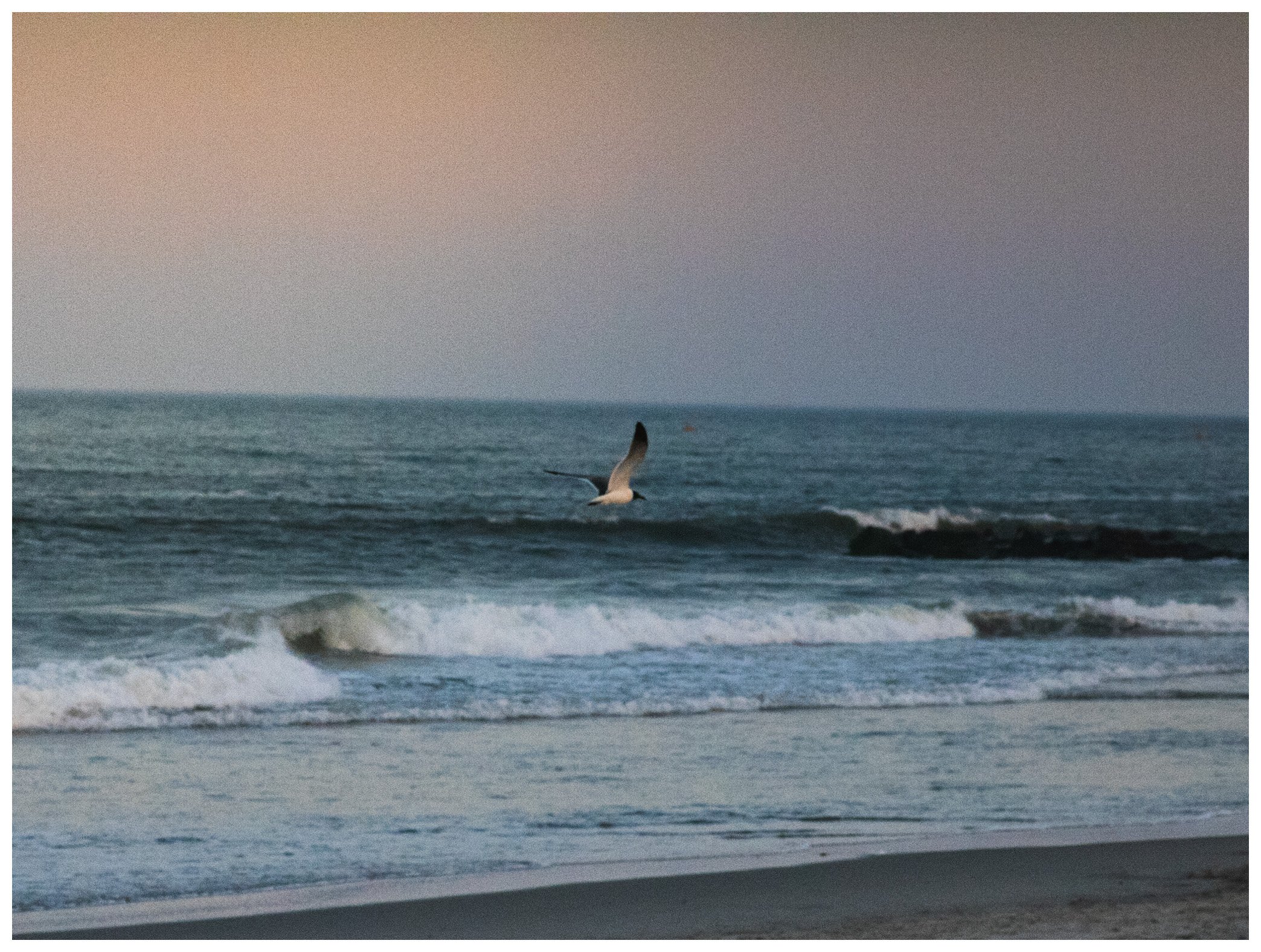 OCNJ-24.JPG