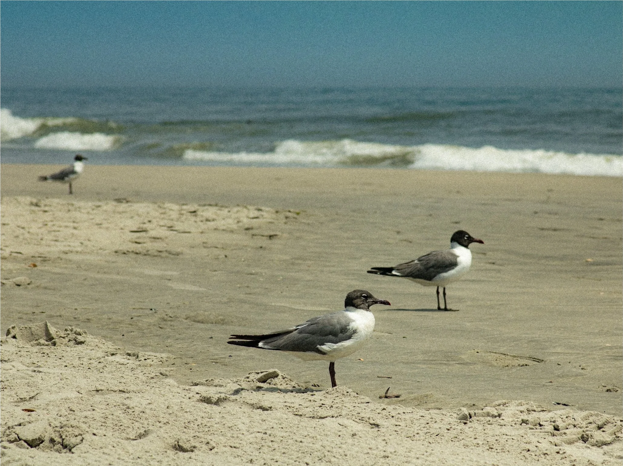 OCNJ-04.png