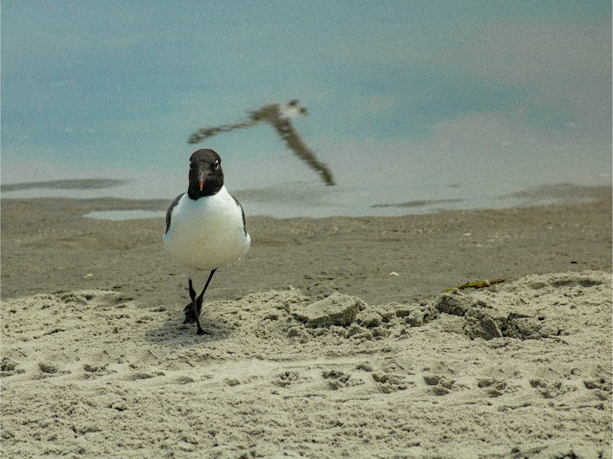 OCNJ-05.png