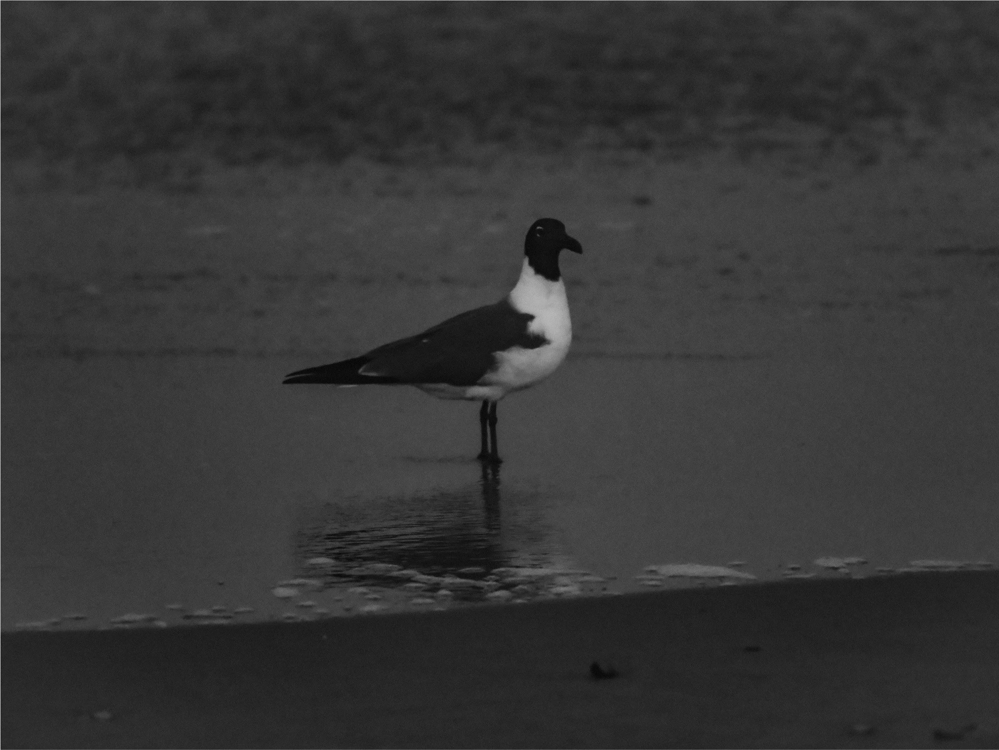 OCNJ-14.png