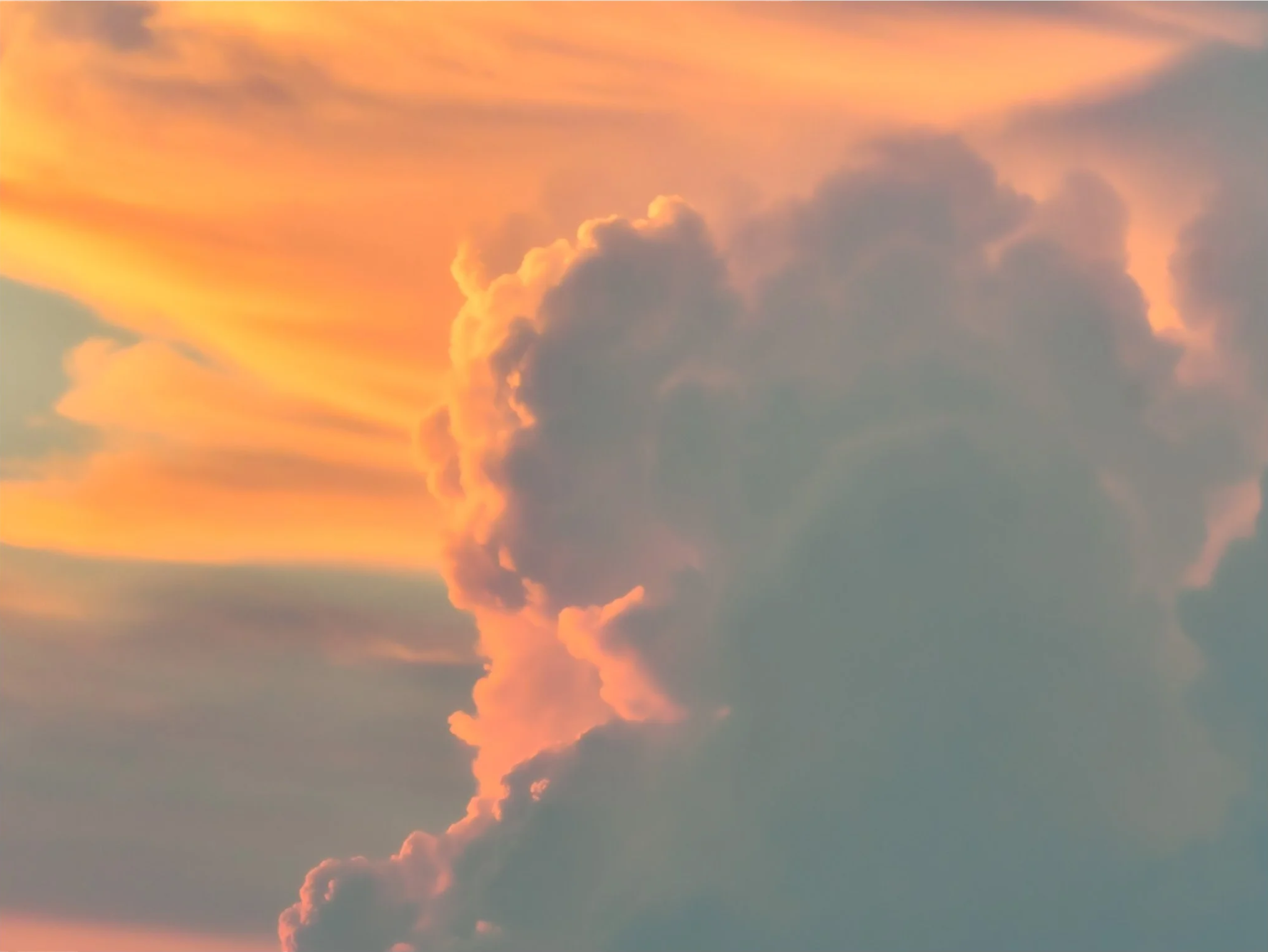 OCNJ-15.png