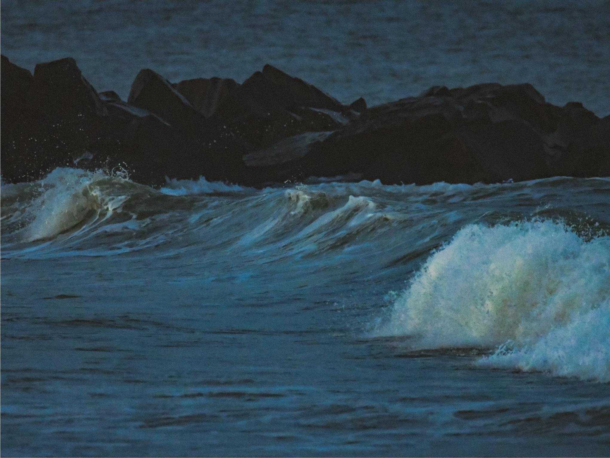 OCNJ-16.png