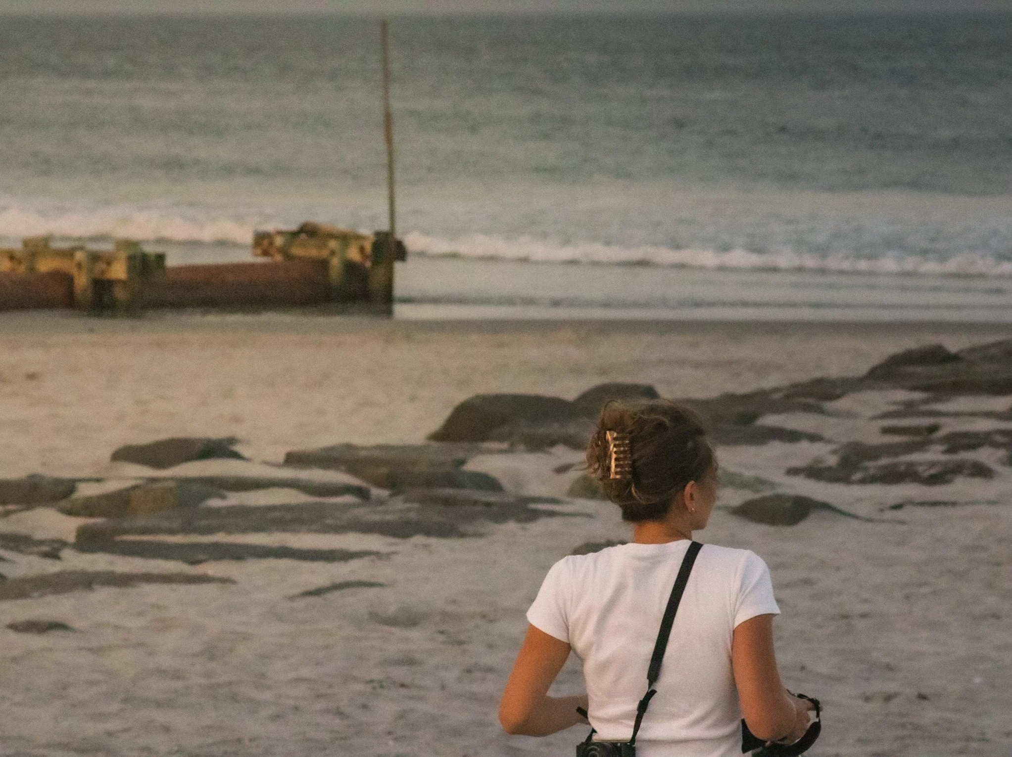 OCNJ-23.png