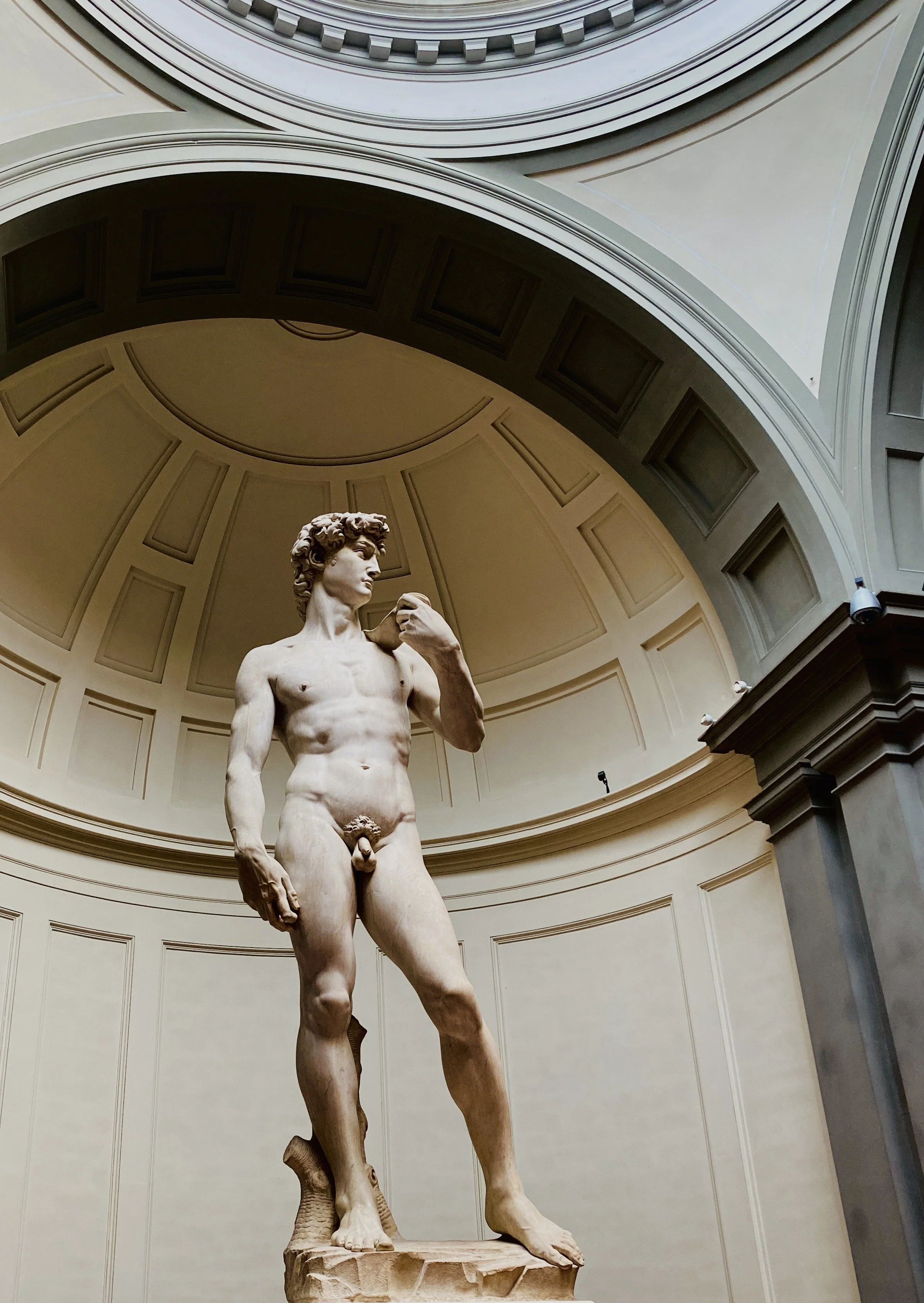 David (Florence, Italy 2022).JPG