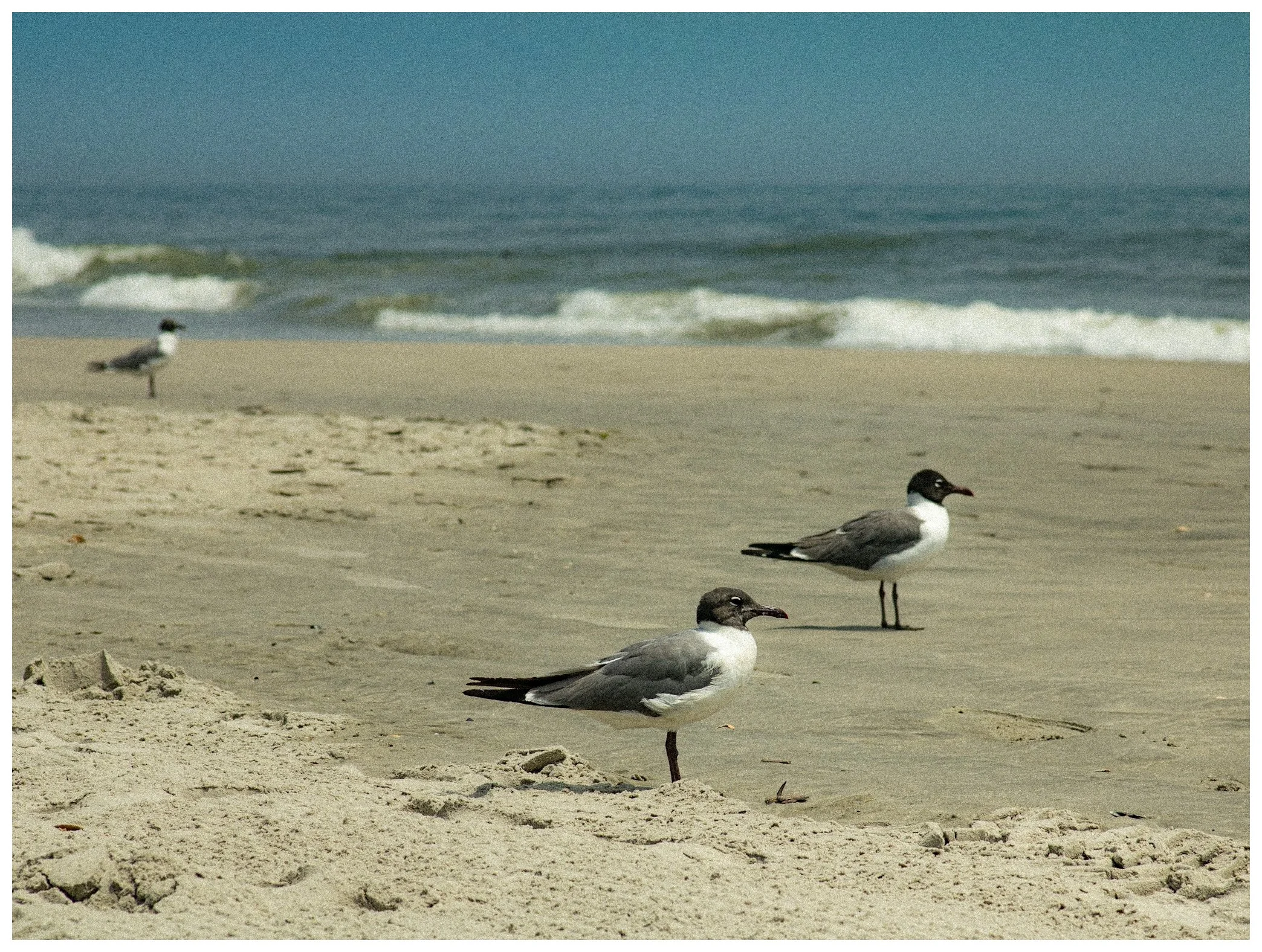 OCNJ-04.JPG