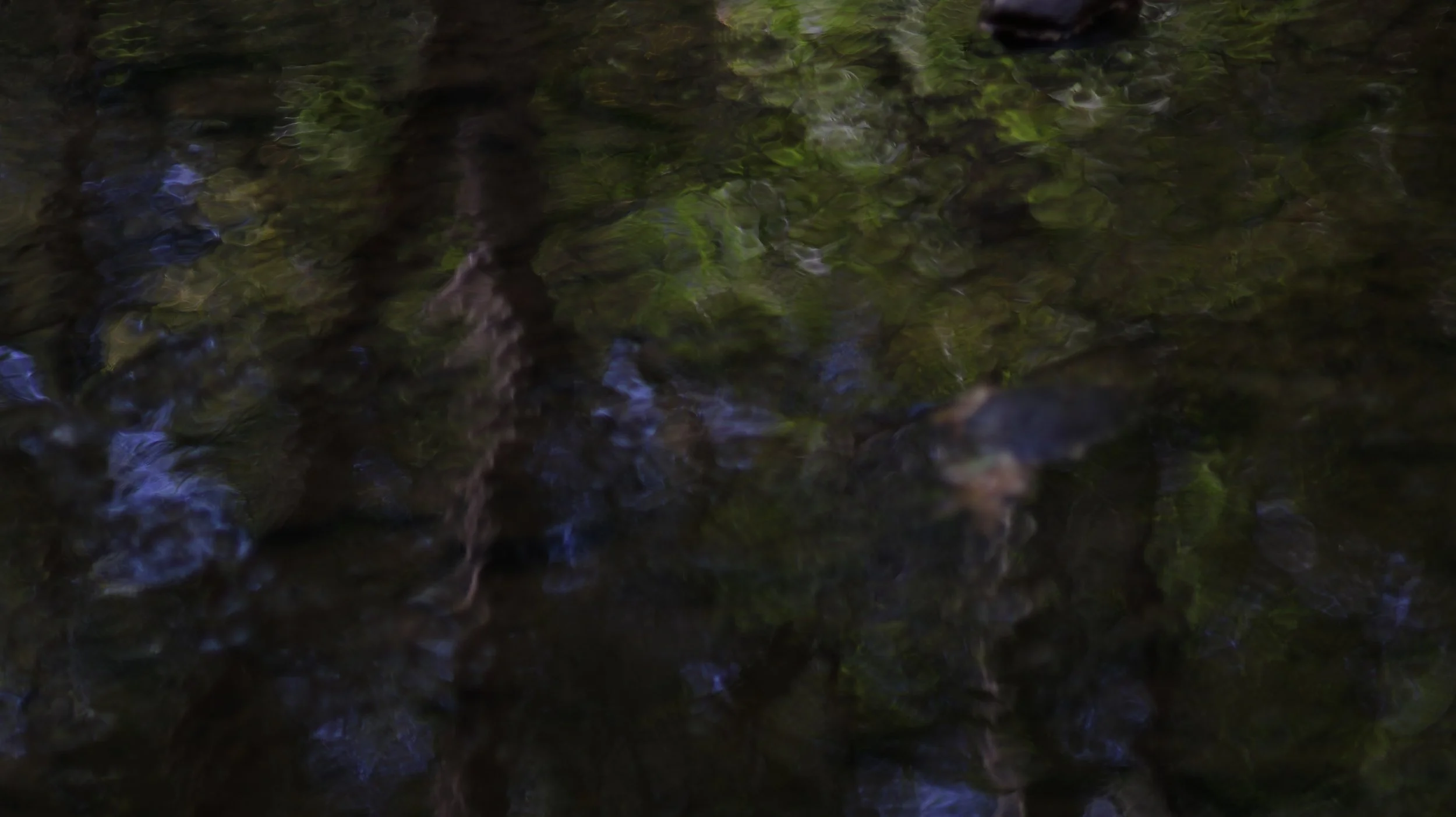 Reflection in the river (Nazareth, PA 2023).JPG