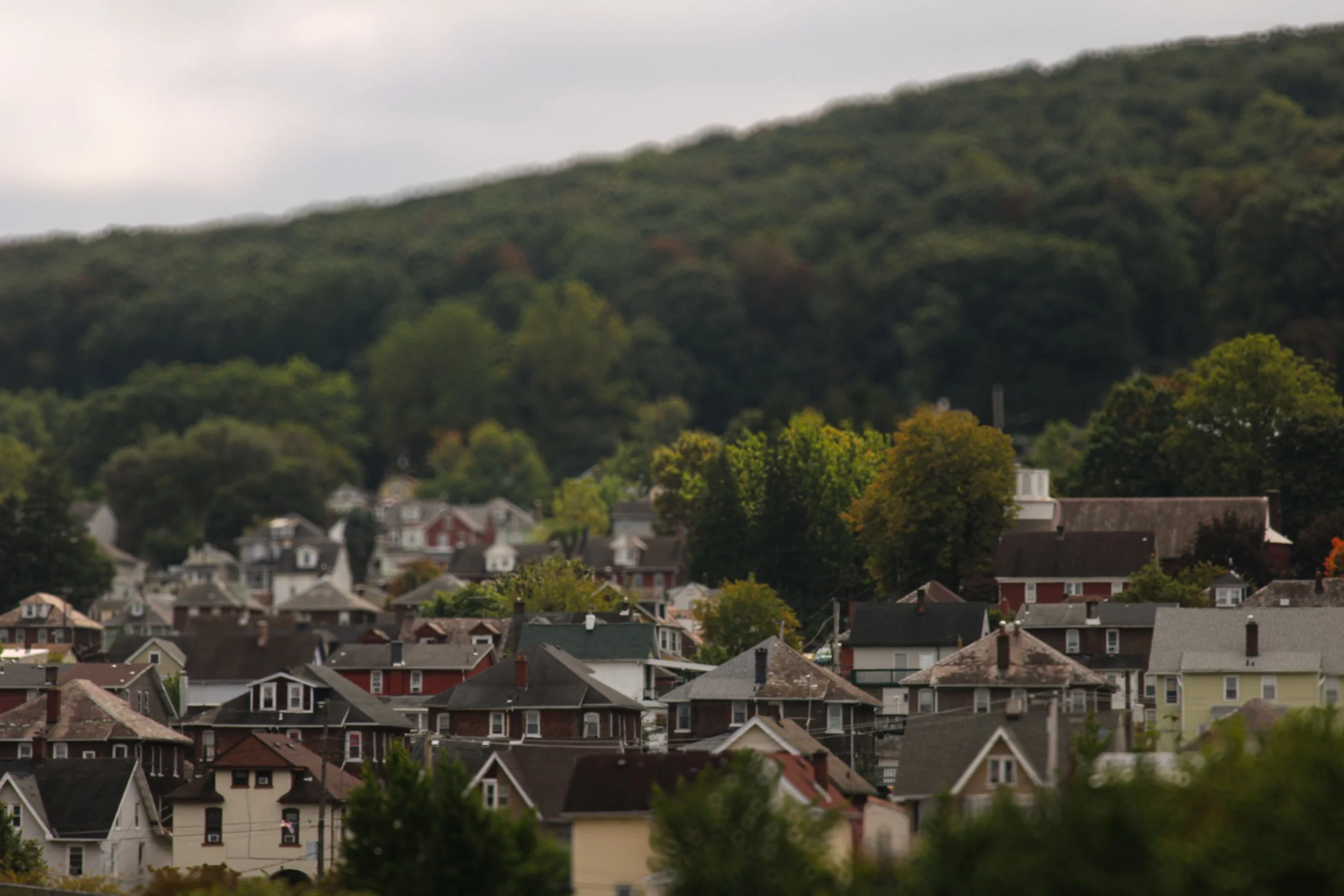 Ant farm (Bethlehem, PA 2024).jpg