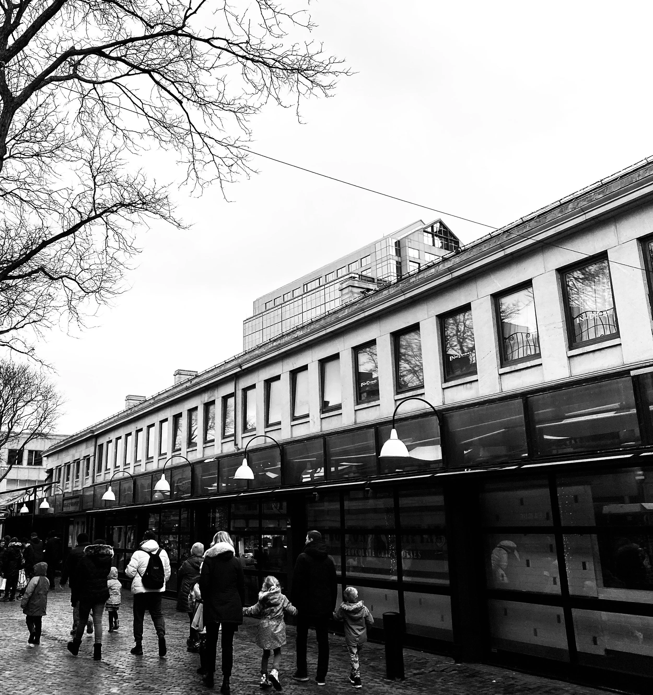 Boston in November (Boston, MA 2021).JPG