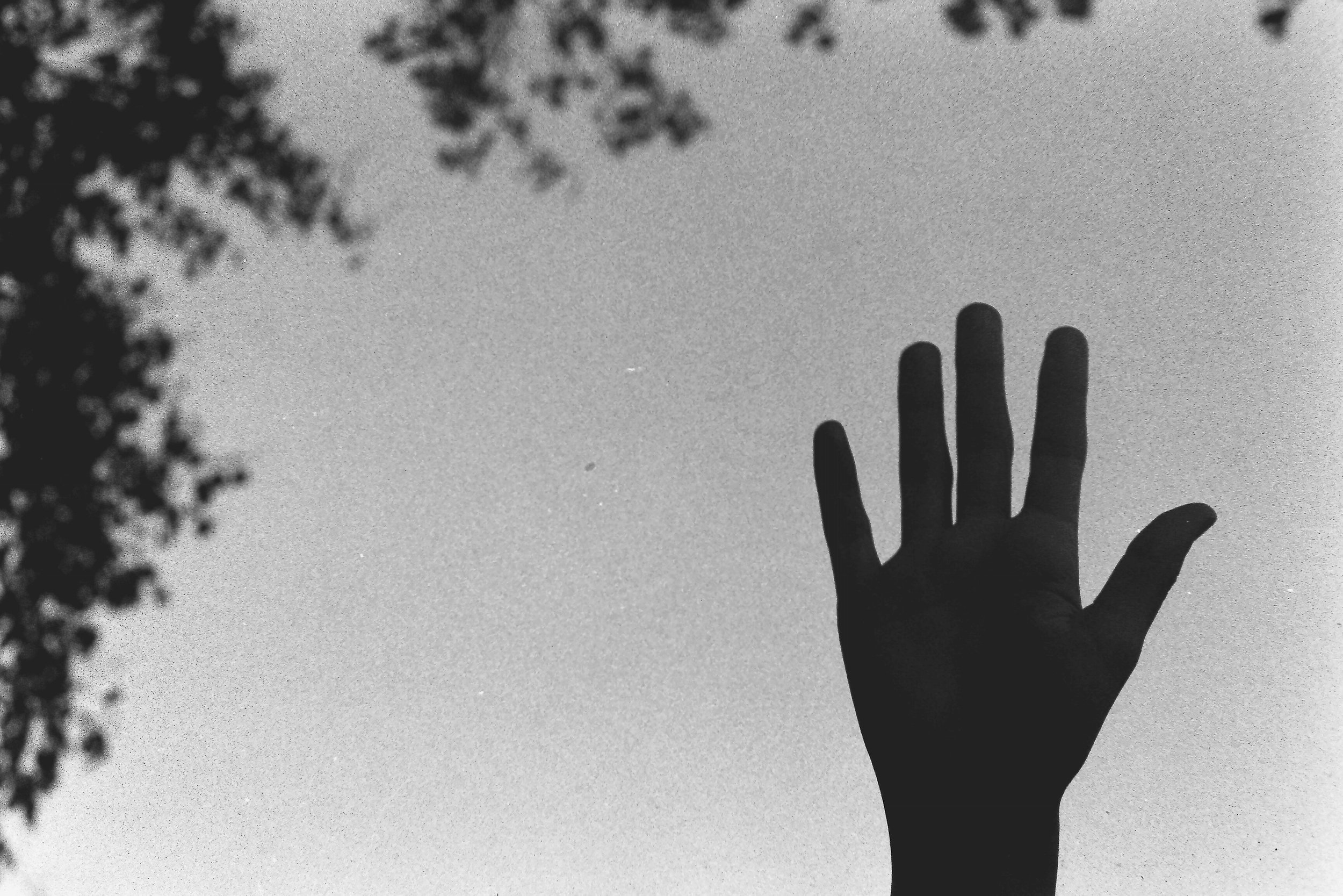 Hand (Bethlehem, PA 2023).jpg