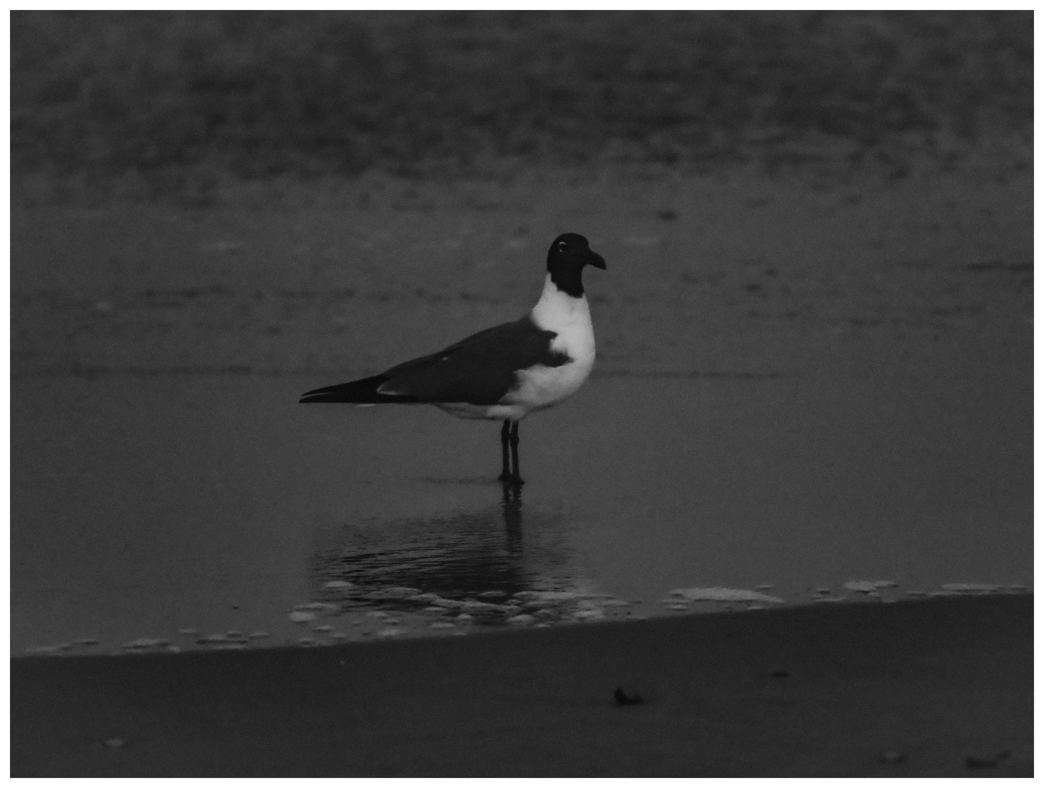 OCNJ-14.JPG