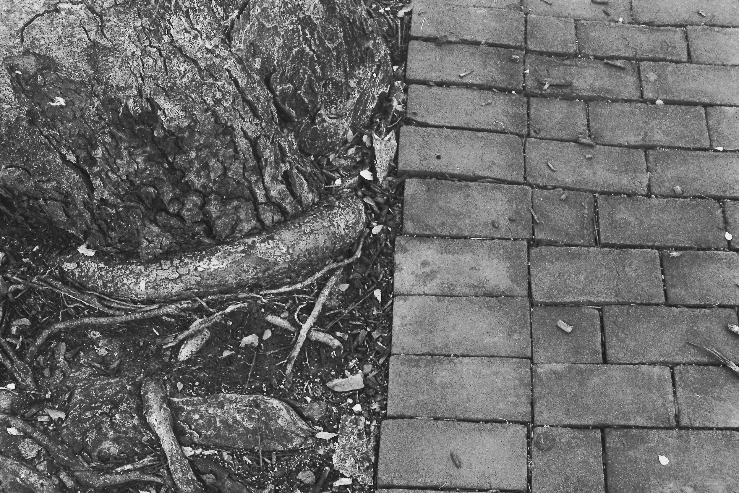 Bricks and a stump (Easton, PA 2023).jpg