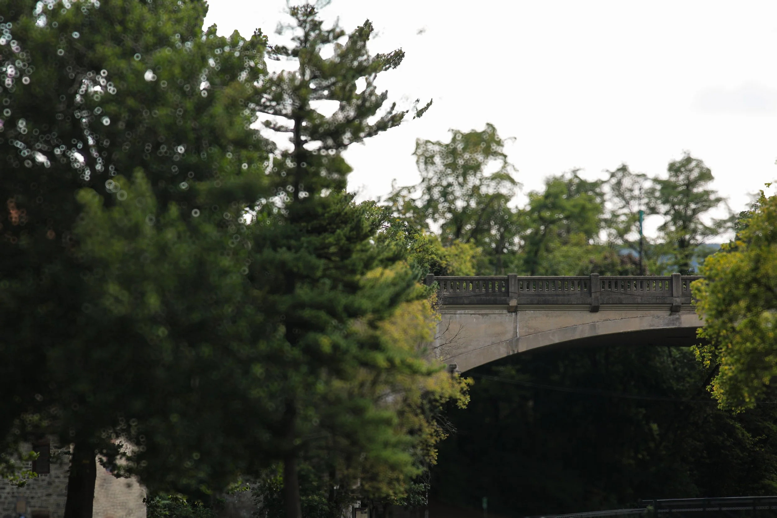 Bridge (Bethlehem, PA 2024).jpg