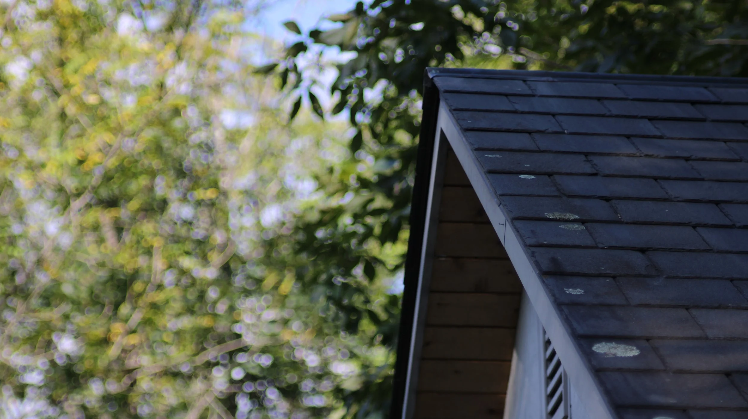 Peak (Nazareth, PA 2023).JPG