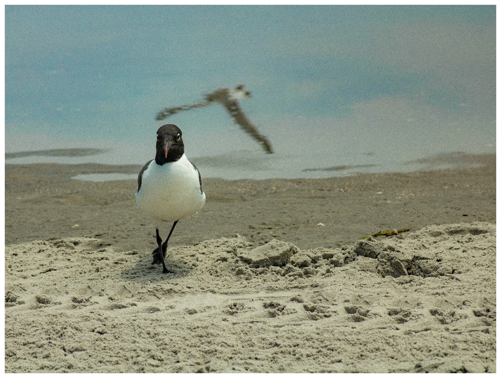 OCNJ-05.JPG