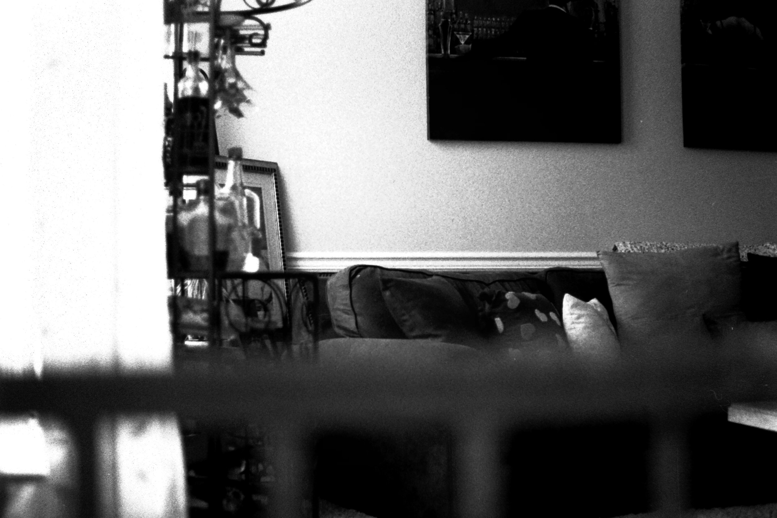 Behind the gate (Bethlehem, PA 2023).JPG