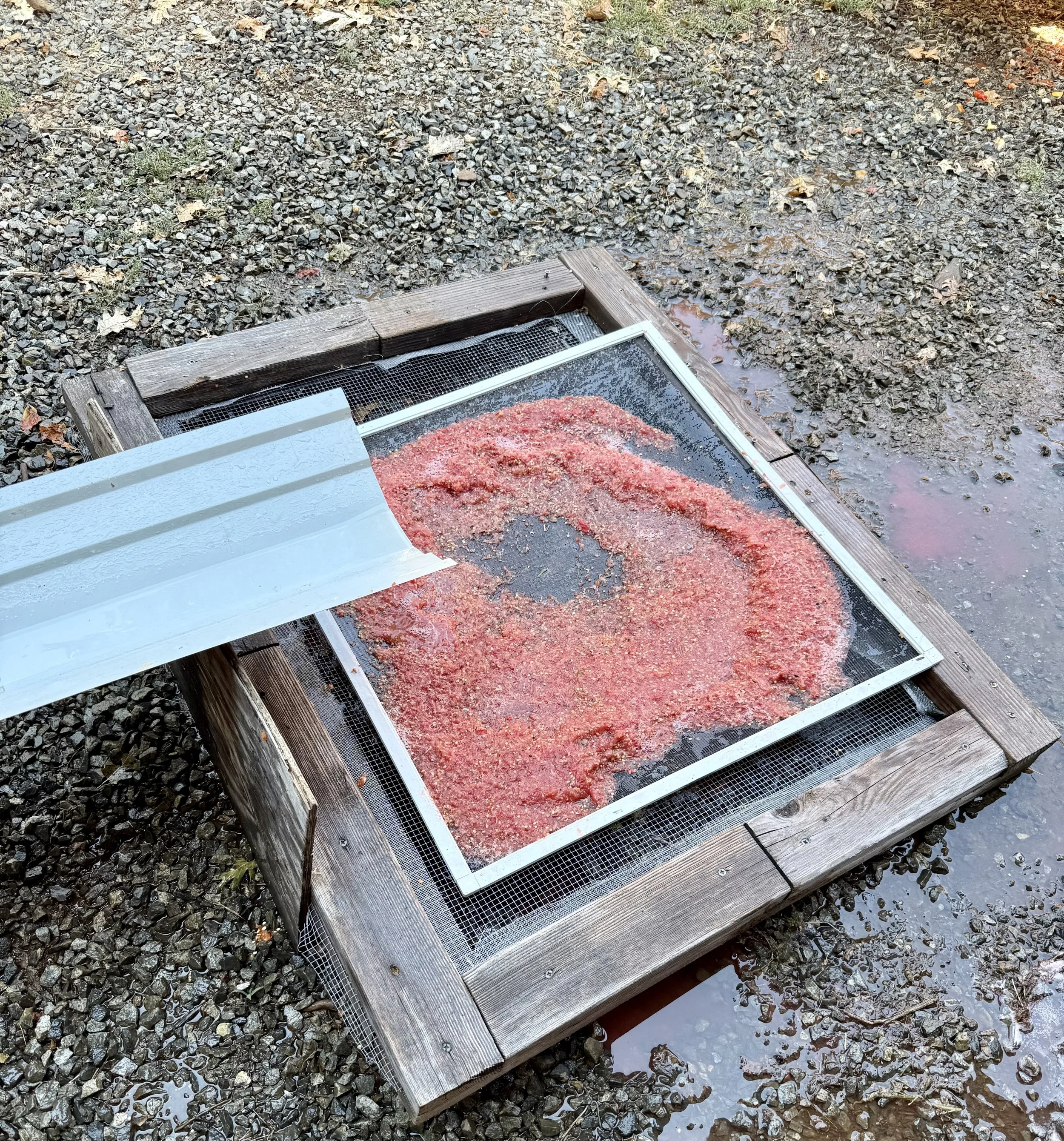 Final goop with seeds