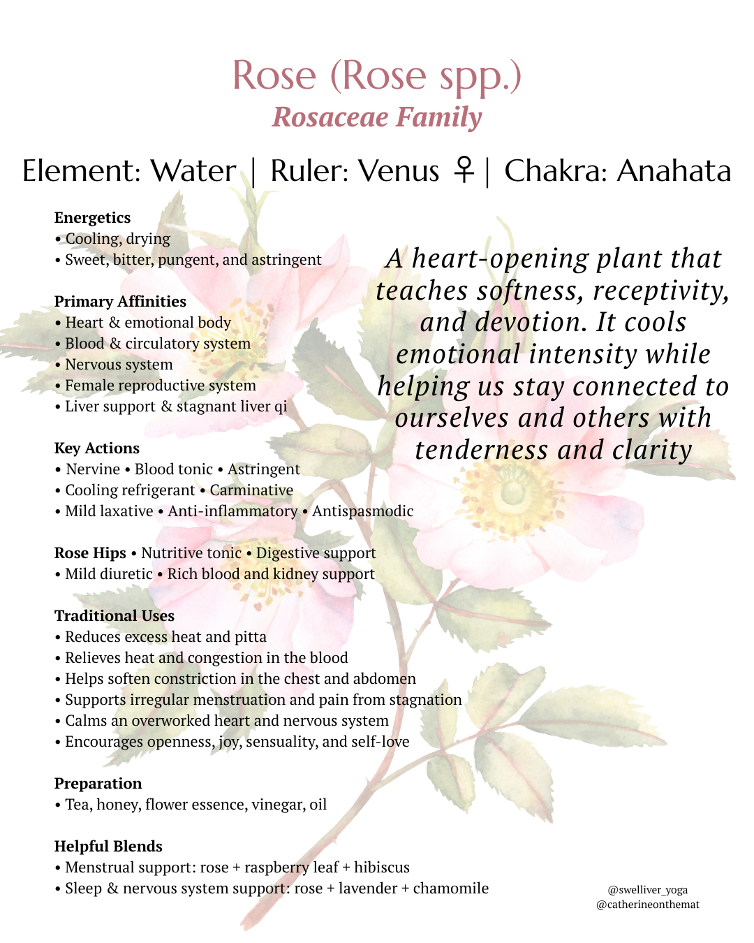 rose infographic