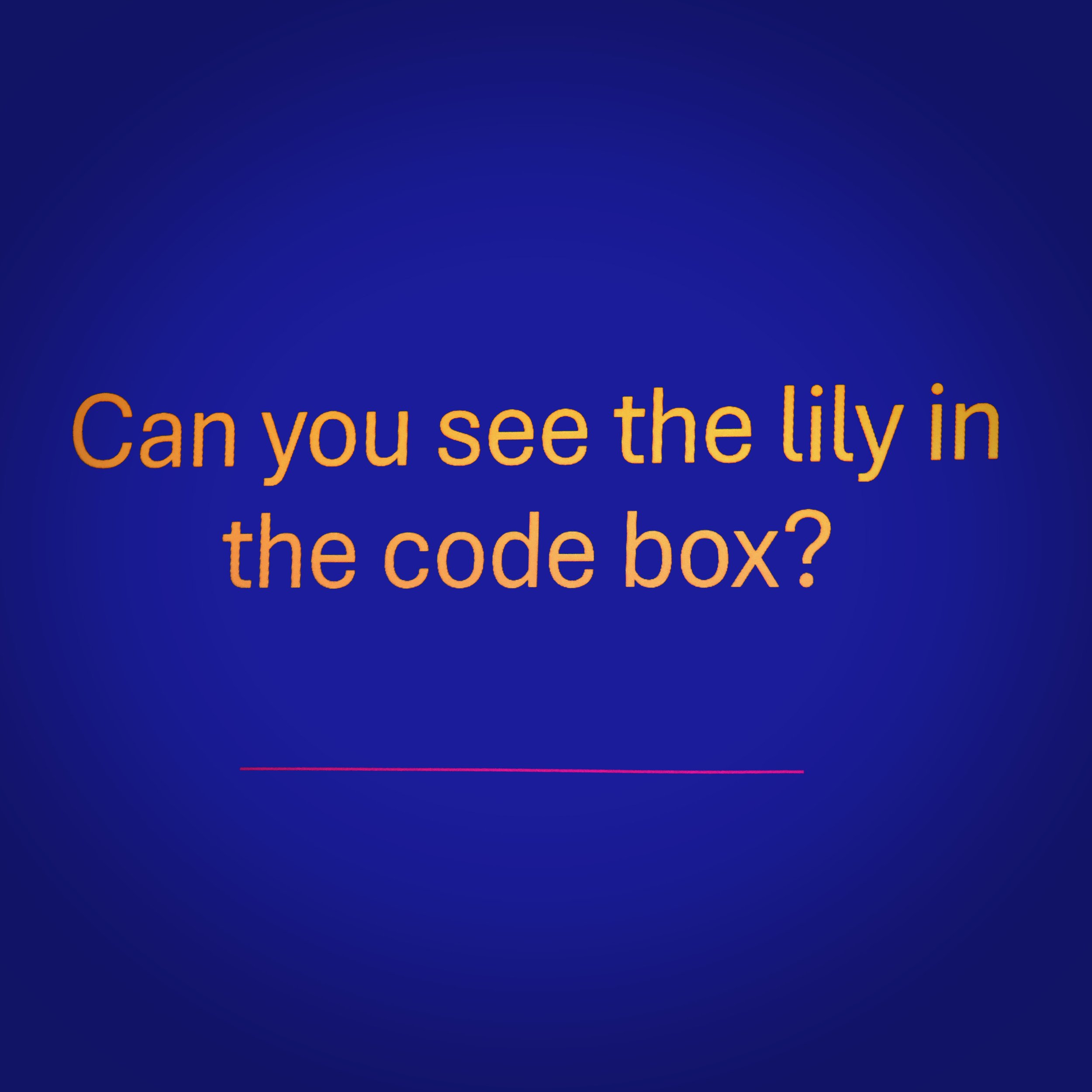LILY-CODE-06.jpg