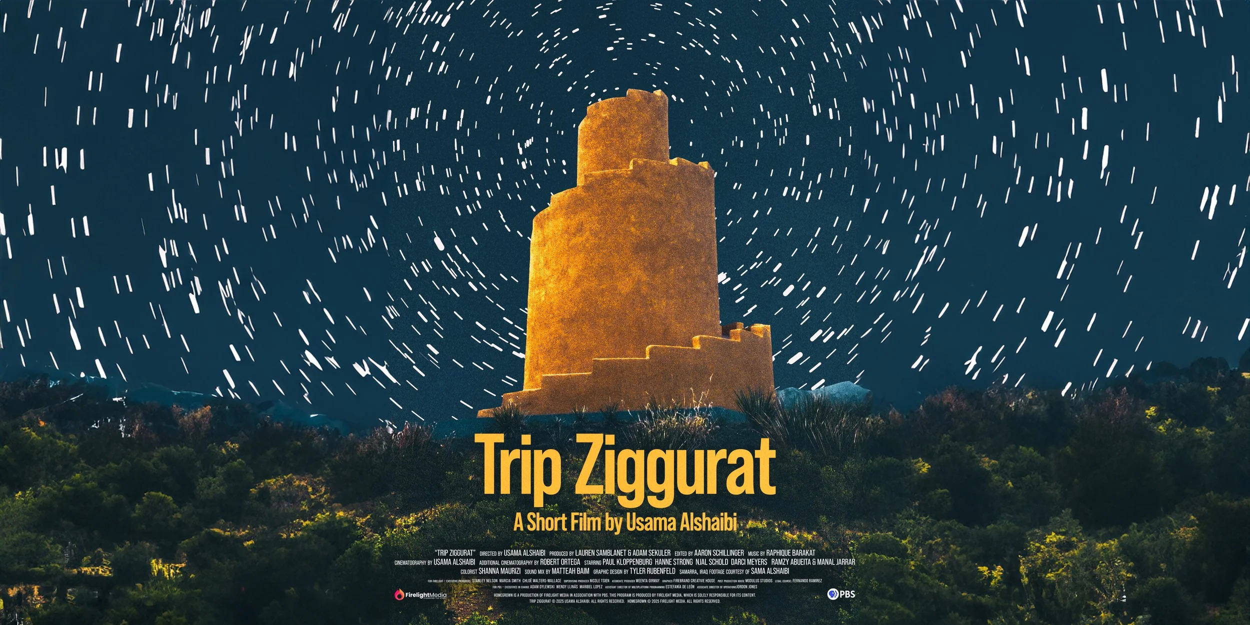 Trip Ziggurat - Screening and Community Event