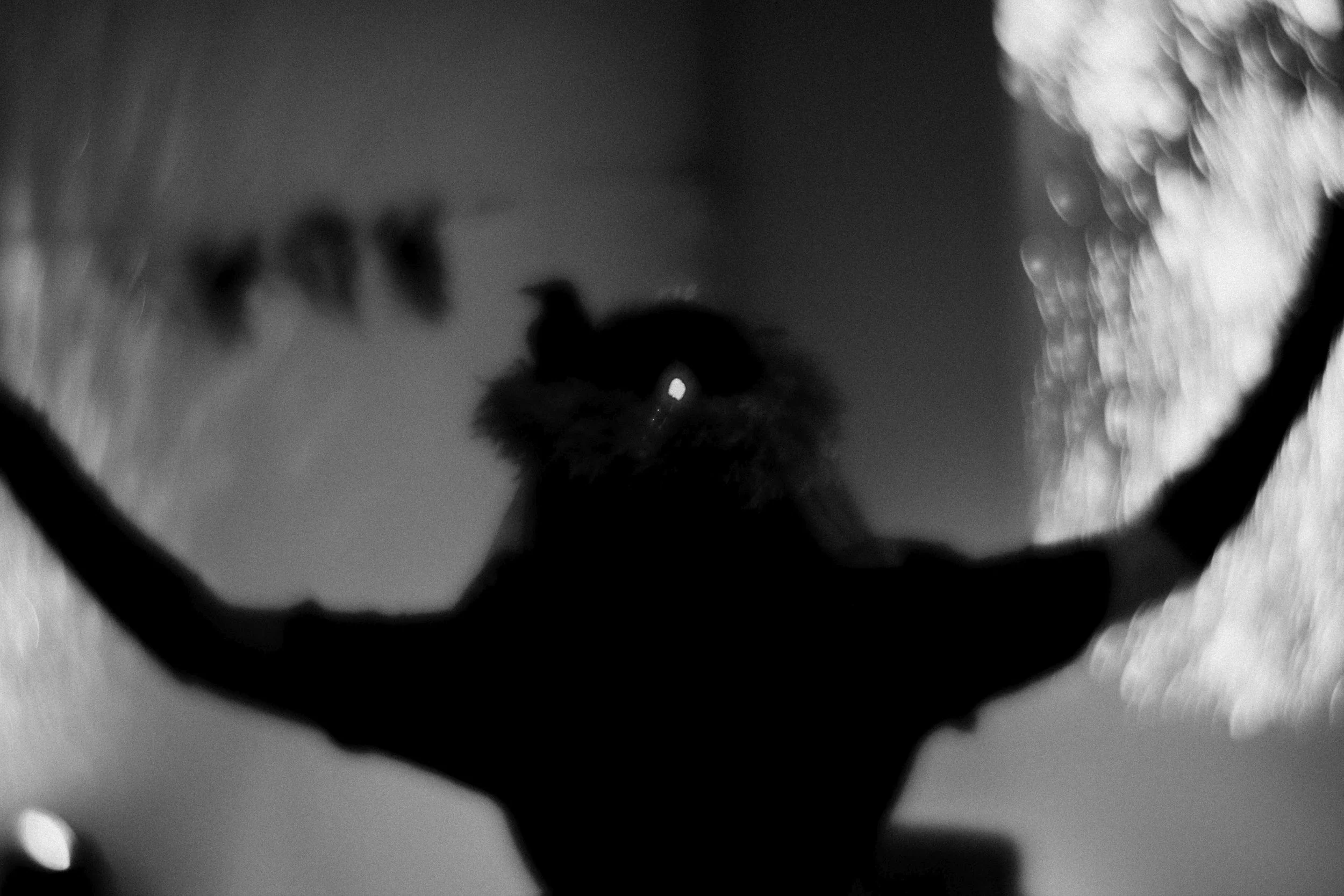 S_J_BW_13.jpg
