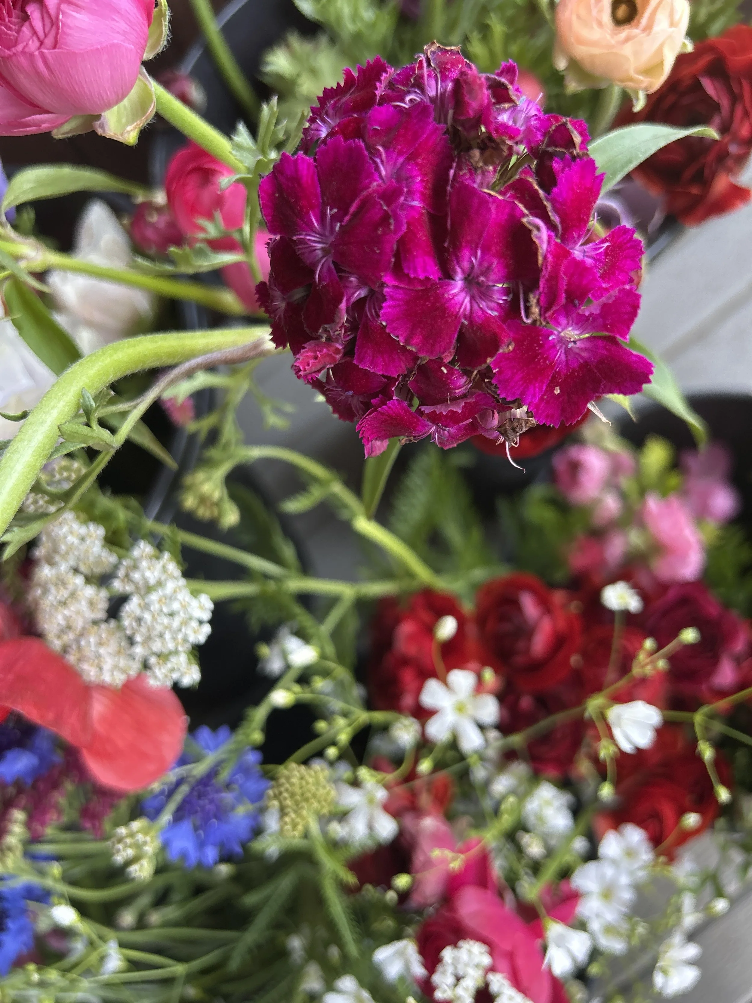 Bulk Bucket Flowers