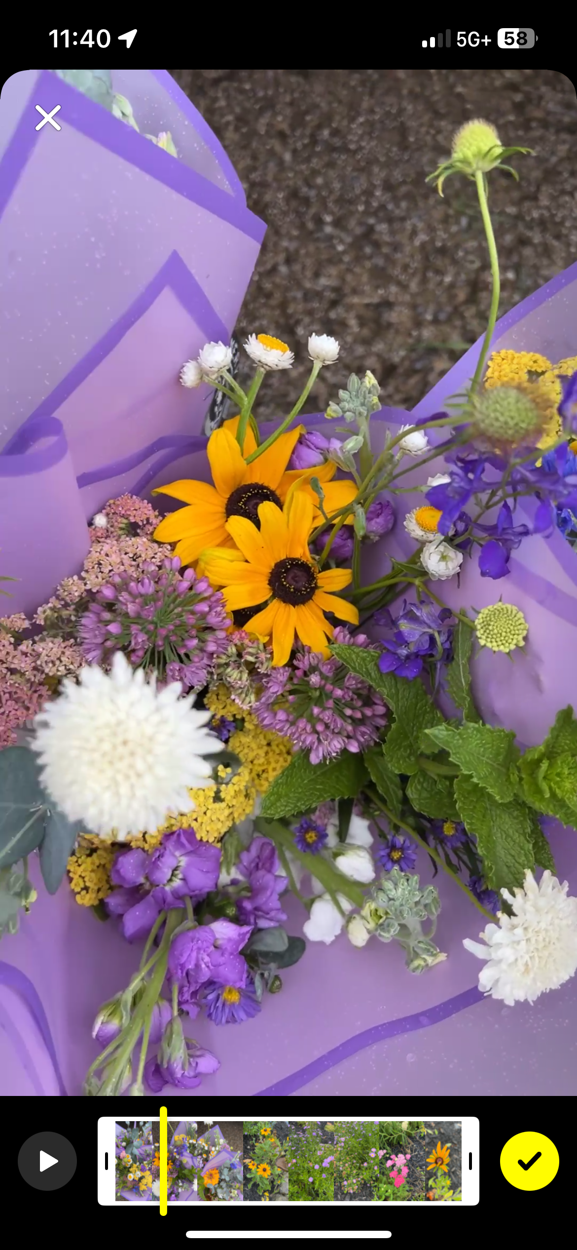 IMG_1955.PNG