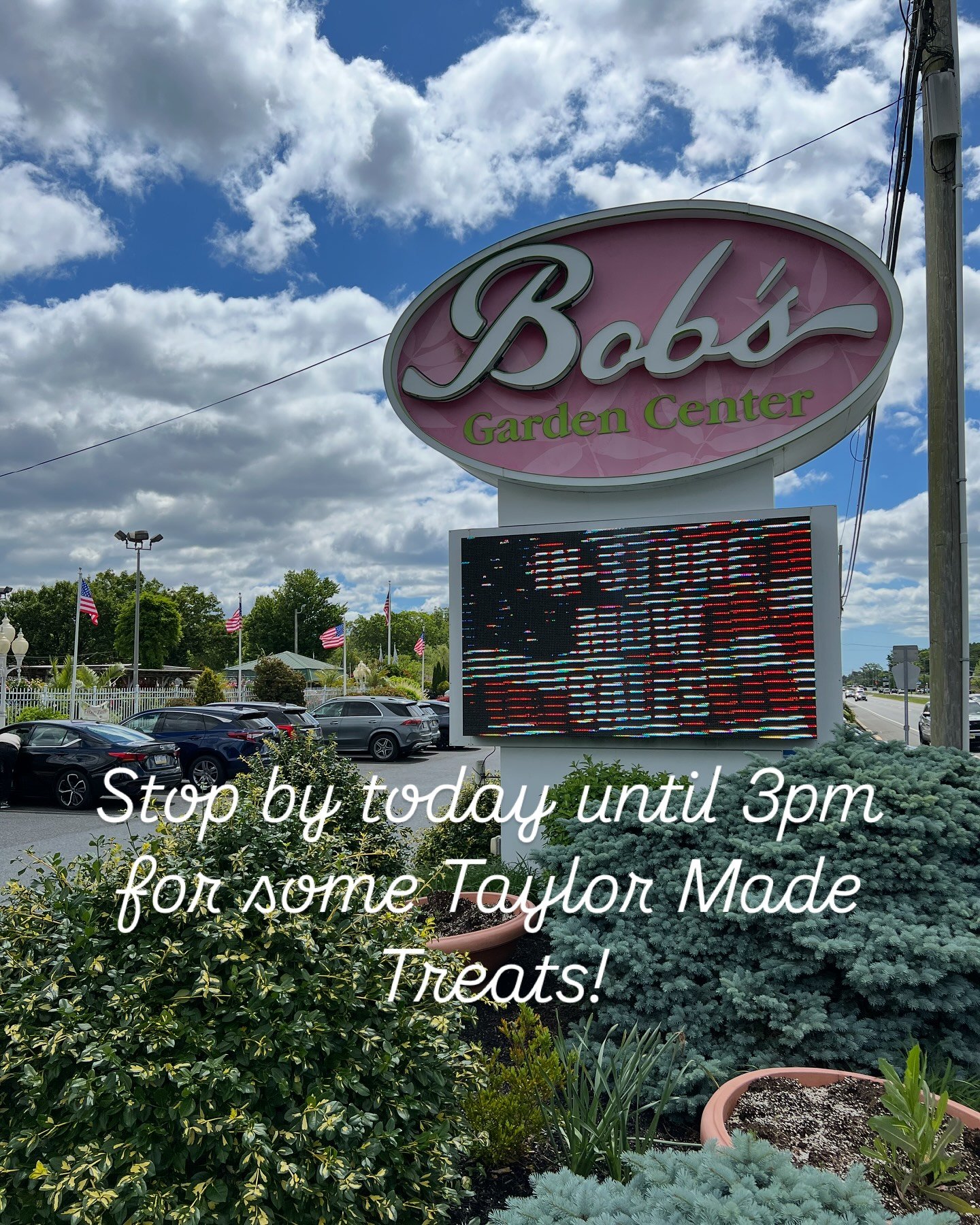 &bull;☀️🌸Stop by Bob&rsquo;s Garden Center until 3pm to see us today! Located in the back, walk through all the beautiful flowers to find us!