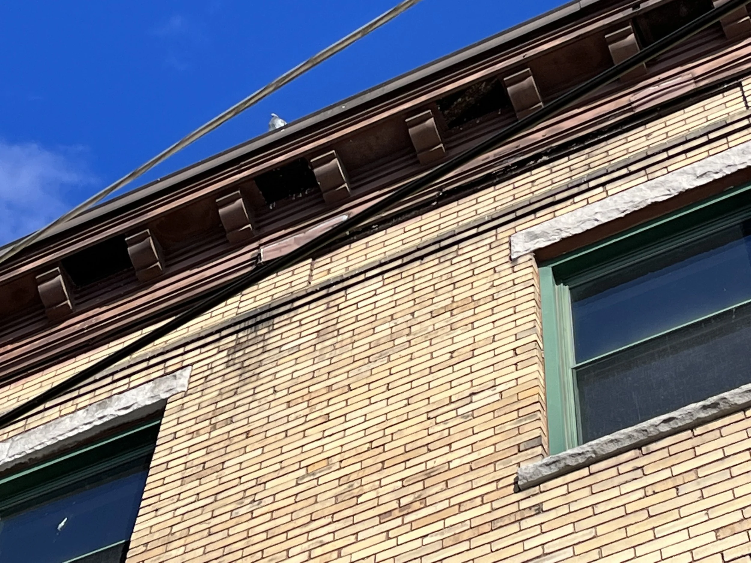 Deteriorated soffits & leaking roof