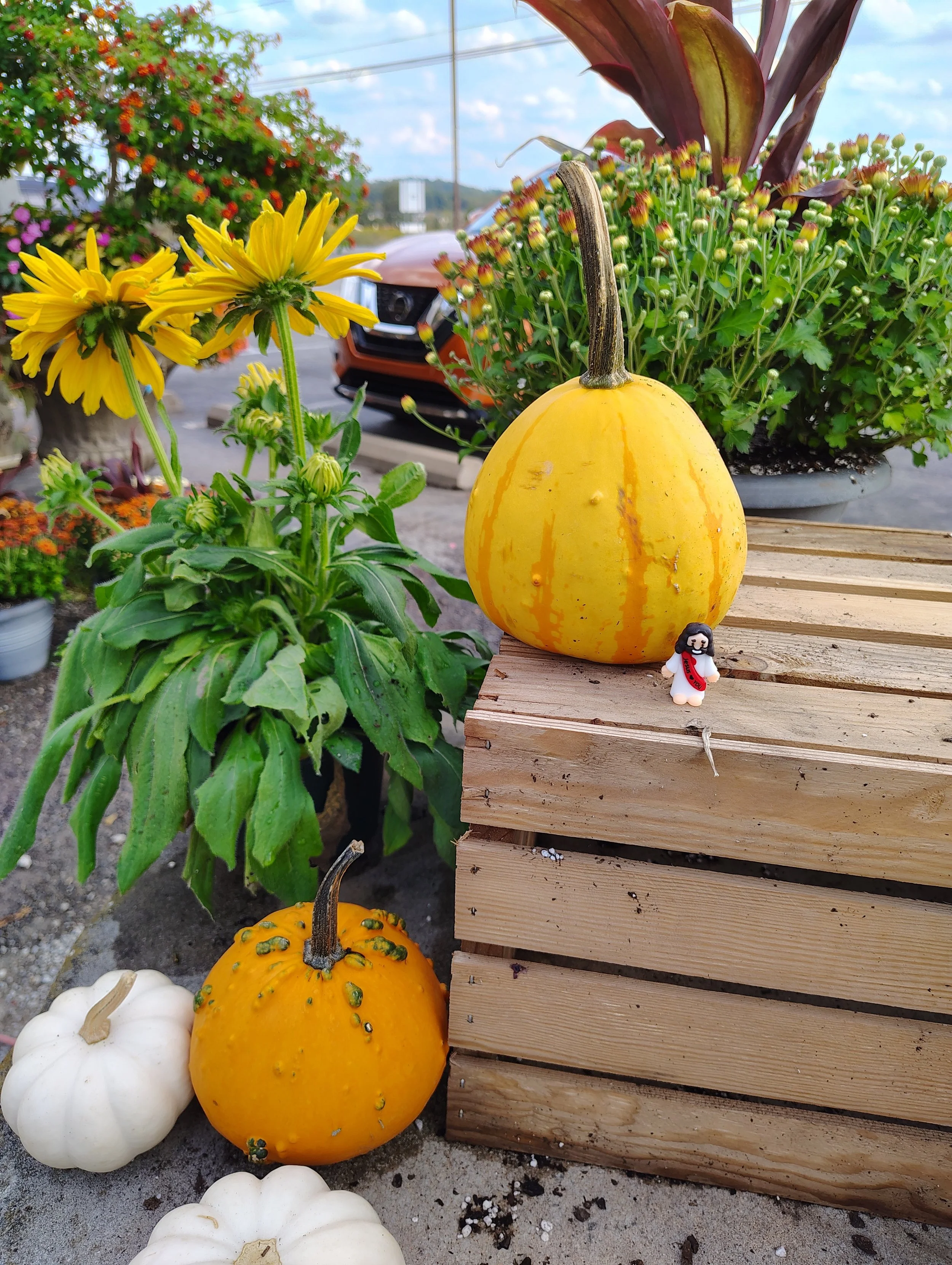 Depreciation Lands Museum in Hampton.jpg