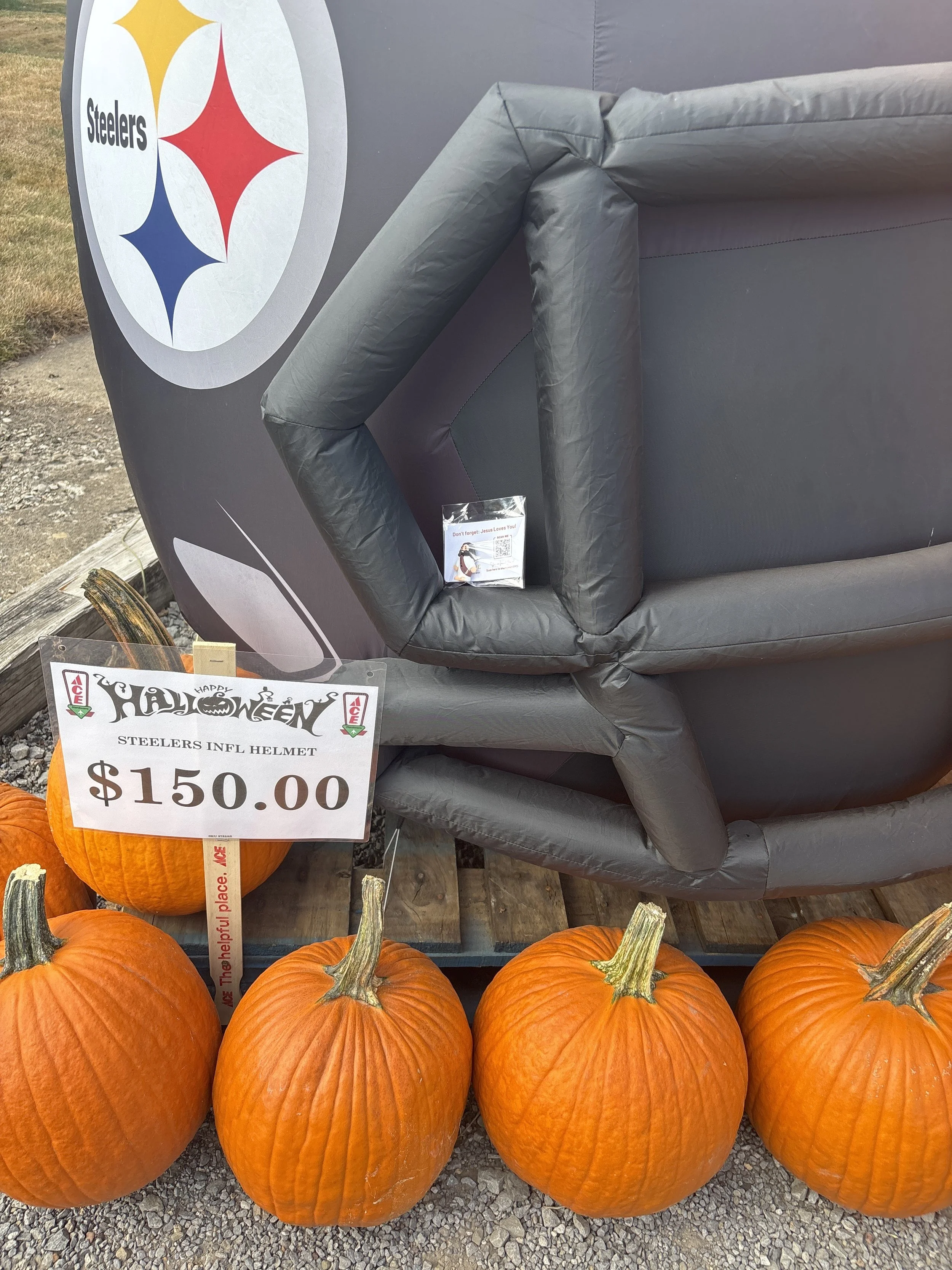 Jesus on a Steelers display at ECVFD.jpg