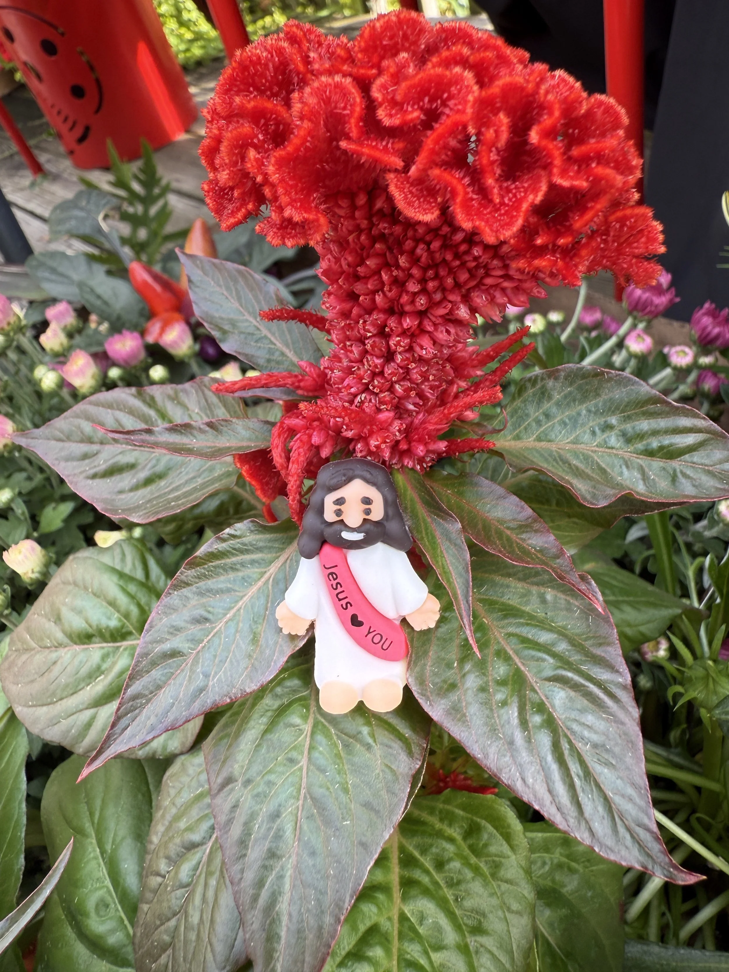 little Jesus in a potted plant.jpeg