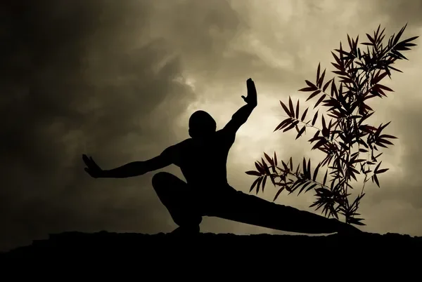 qigong1.webp