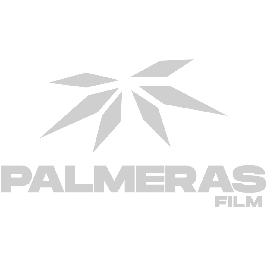 Logotipo de Palmares Film con una estrella formada por triángulos grises y el texto "PALMERAS FILM" en letras mayúsculas grandes, color gris.