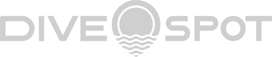 logo-DIVESPOT 2.png