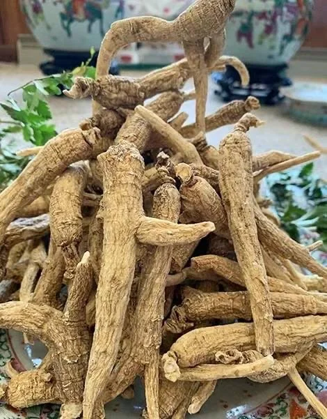 ginseng3.jpeg