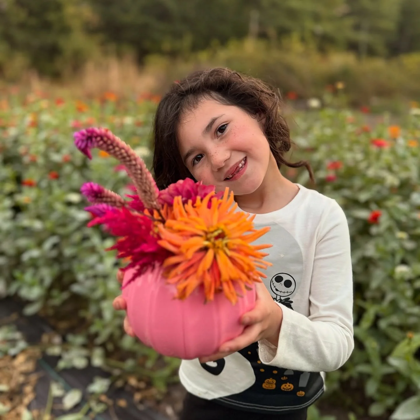 🌸 Introducing&hellip; The BLOOMKINS! 🎃💗
They&rsquo;re pink, they&rsquo;re full of blooms, and they&rsquo;re giving all the fall feels 💐✨
Each Bloomkin is filled with locally grown flowers from our fields &mdash; made with love and a little Azalea