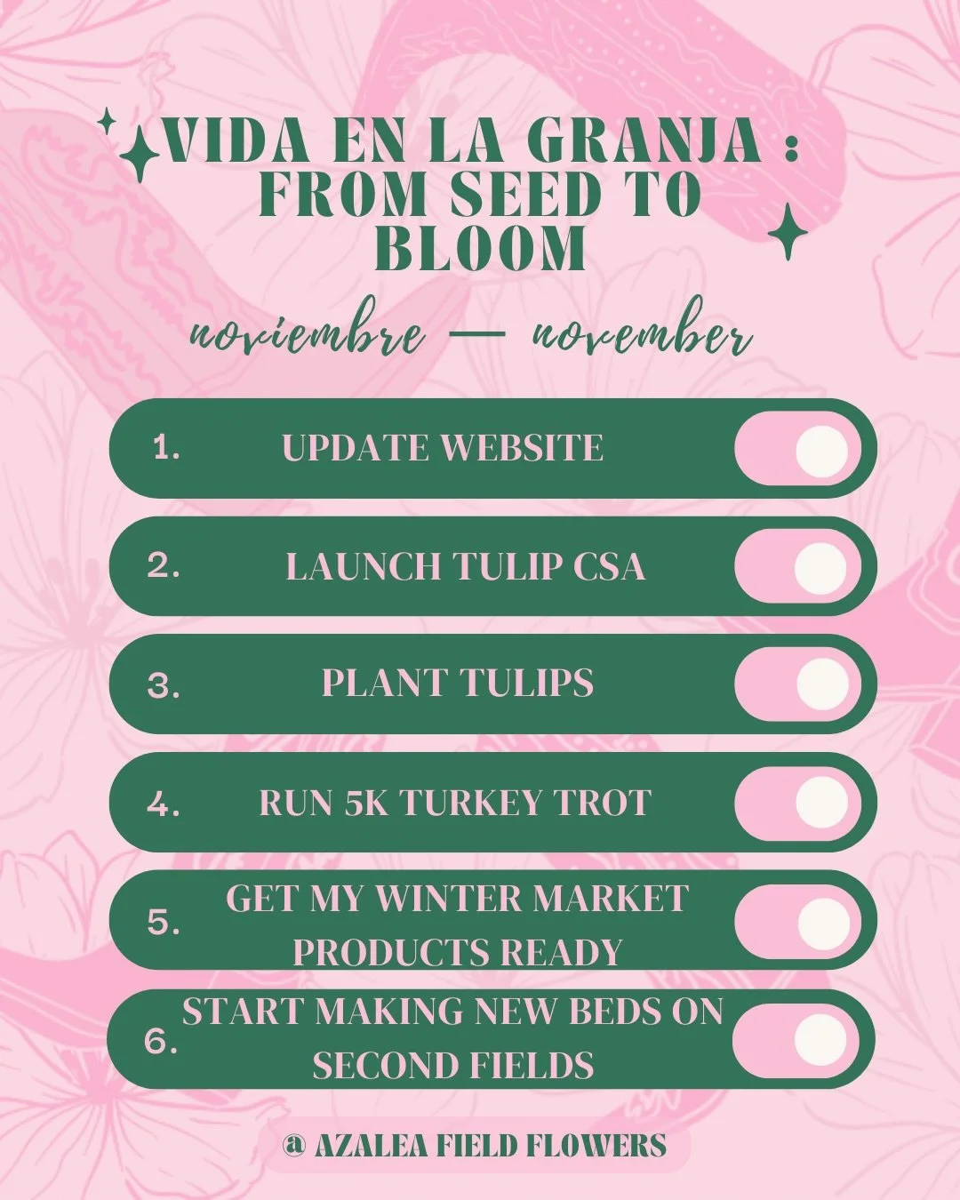 ✨ Vida en la Granja: From Seed to Bloom &mdash; November ✨

November felt like a month of quiet progress &mdash; the kind of work that doesn&rsquo;t always make noise, but transforms everything. The fields slowed down, but I didn&rsquo;t. 🍂🌱

This 