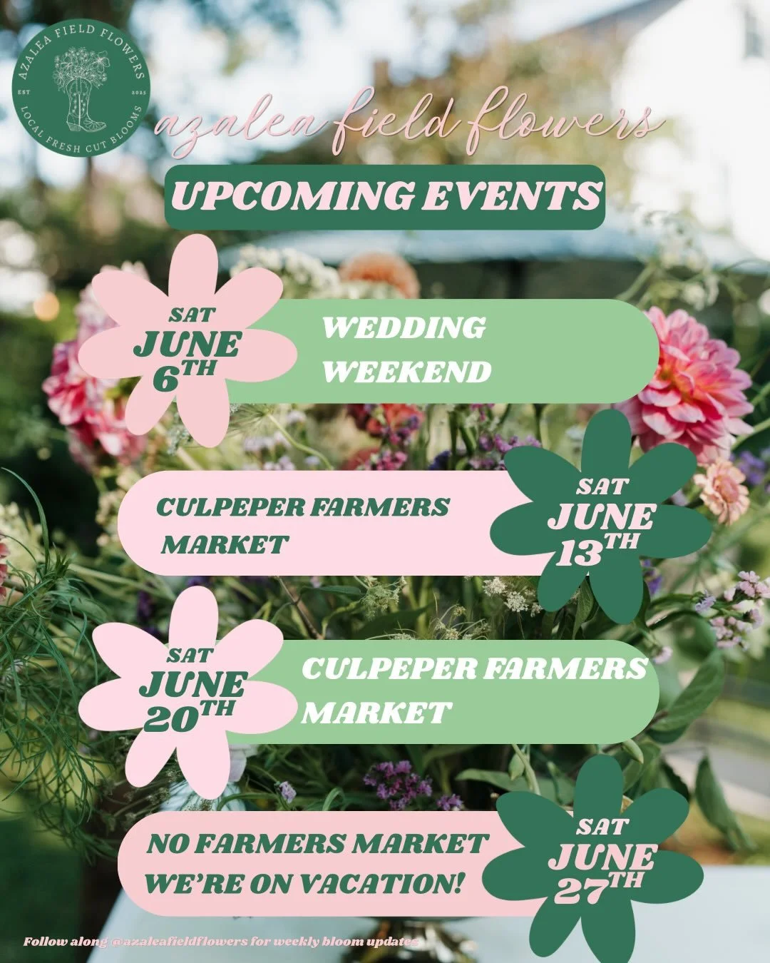 🌸 June Schedule is Here! 👩🏻&zwj;🌾🩷

It&rsquo;s going to be a busy month filled with farmers markets, weddings, events, and plenty of fresh-cut blooms from the farm.

A quick heads up: we will be taking a much-needed family vacation at the end of