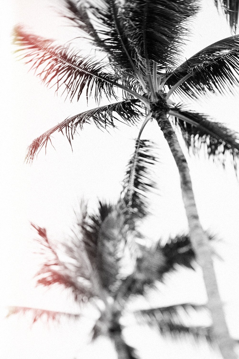 untitled-1434-Edit-Edit copy.jpg