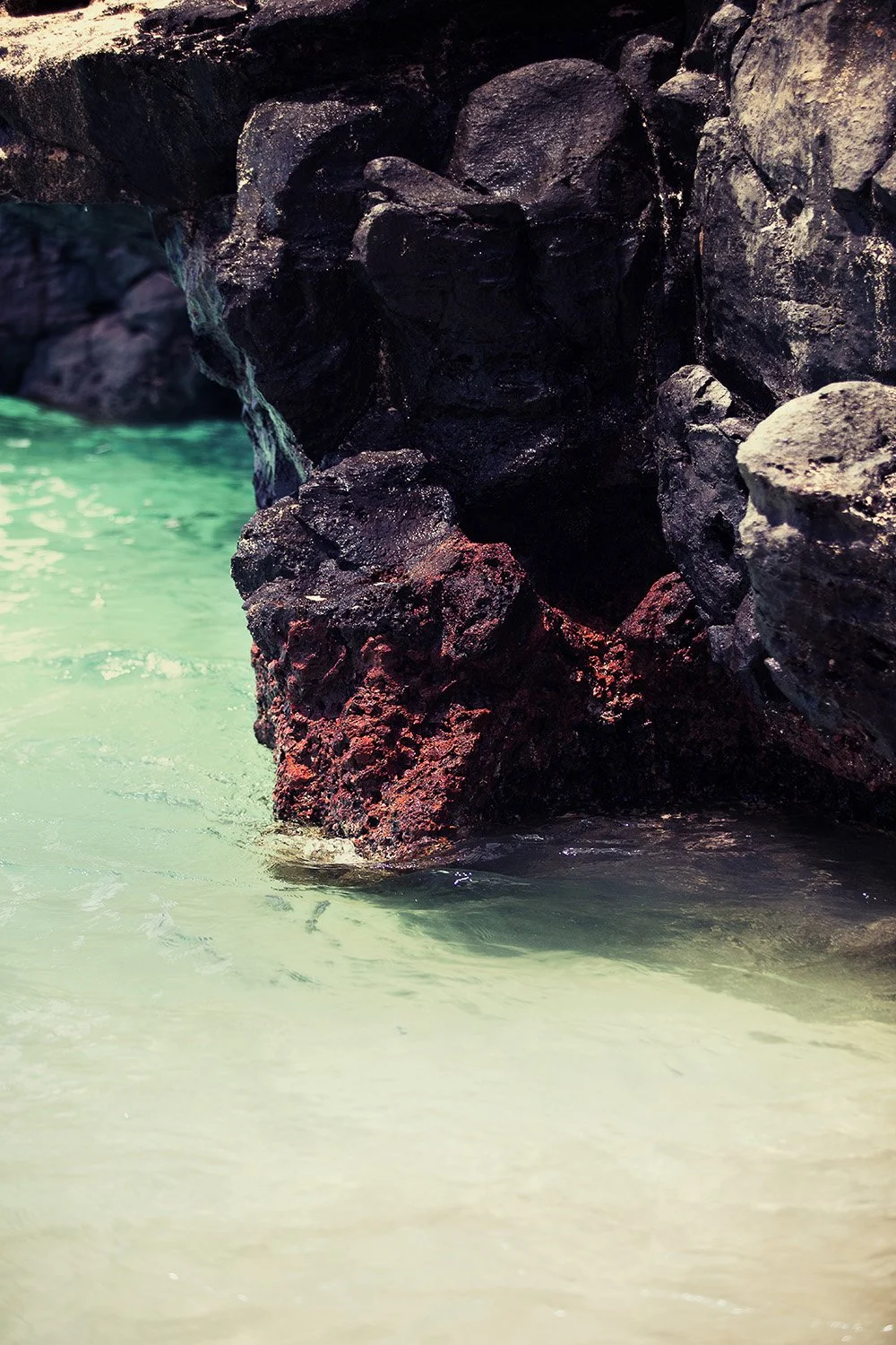 untitled-1789-Edit-Edit copy.jpg