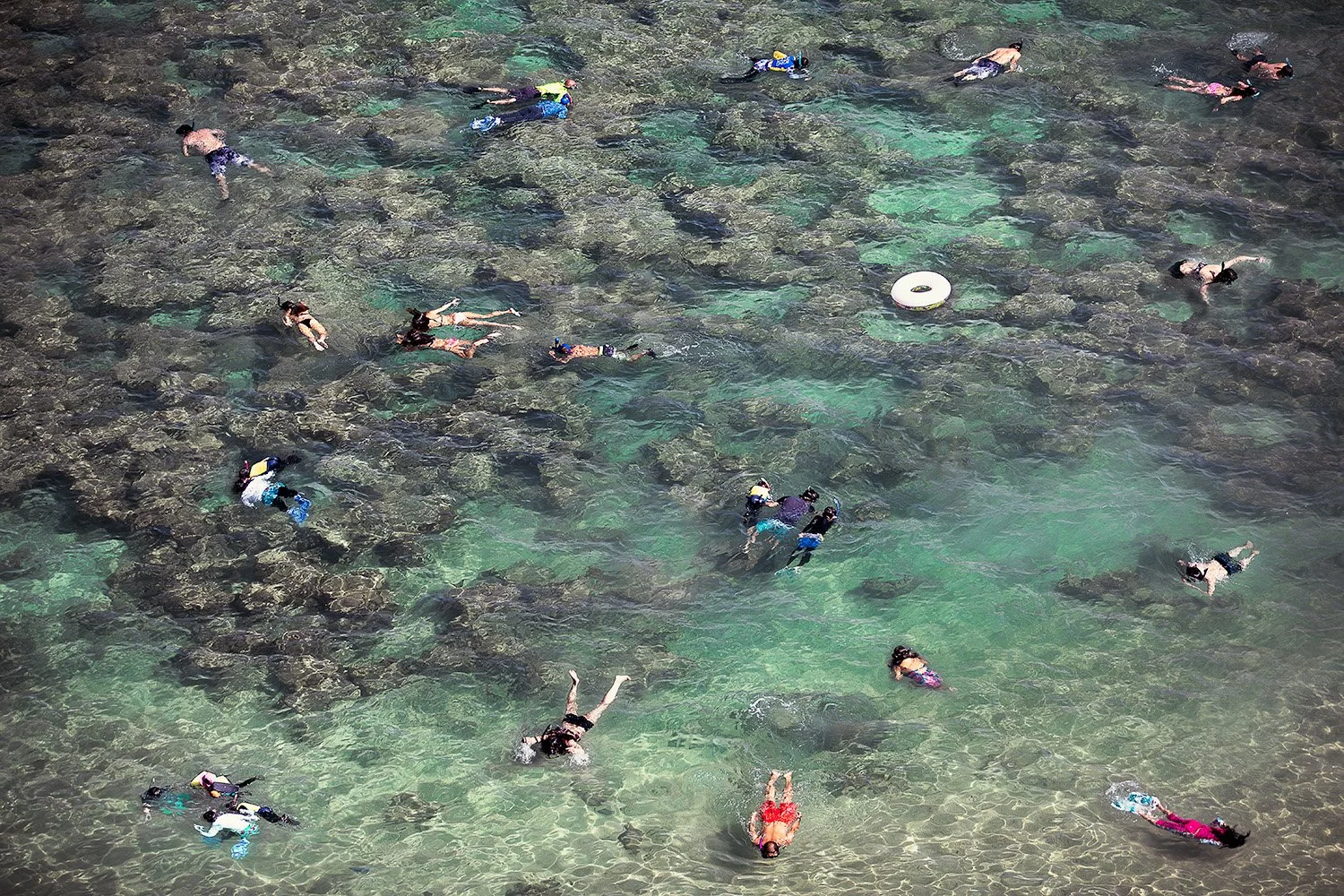 untitled-1004-Edit-Edit copy.jpg