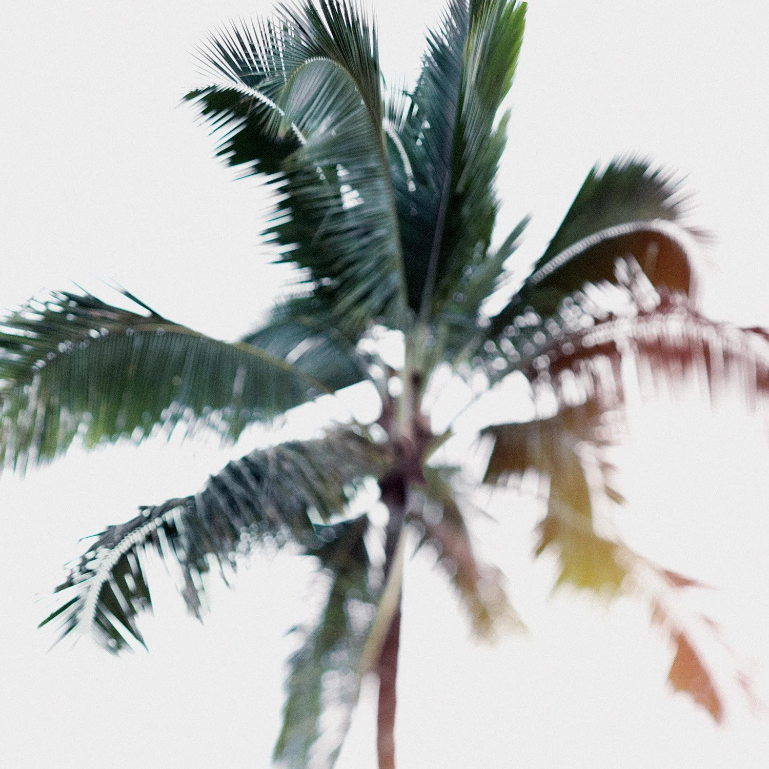 untitled-1440-Edit-Edit-Edit copy.jpg