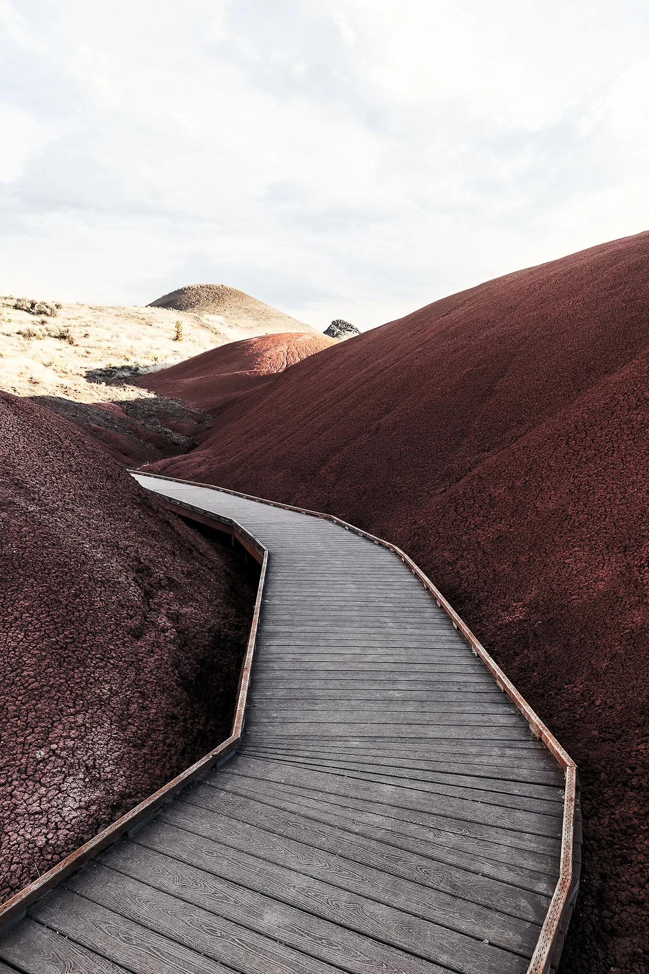 untitled-42-4-Edit-Edit copy.jpg