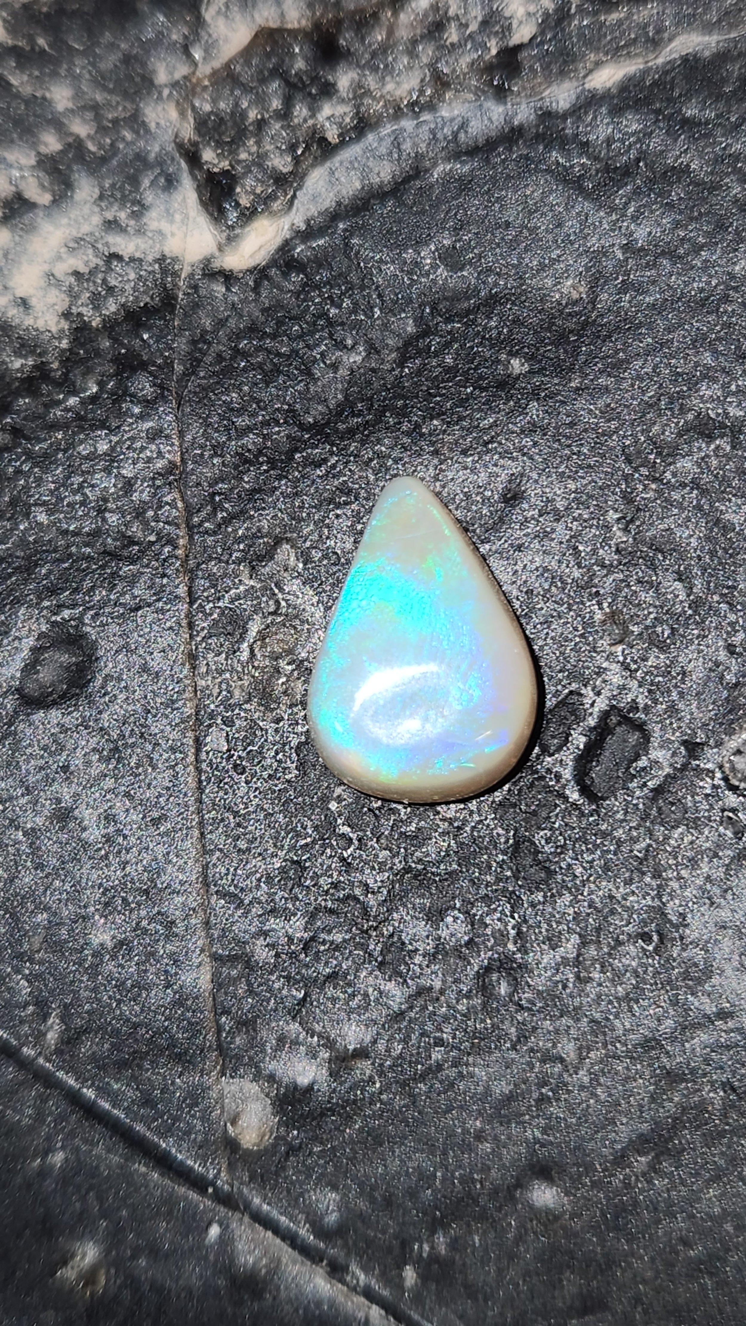 Opal 18