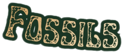 The word 'FOSSILS' in stylized, textured font with a nature-inspired design.