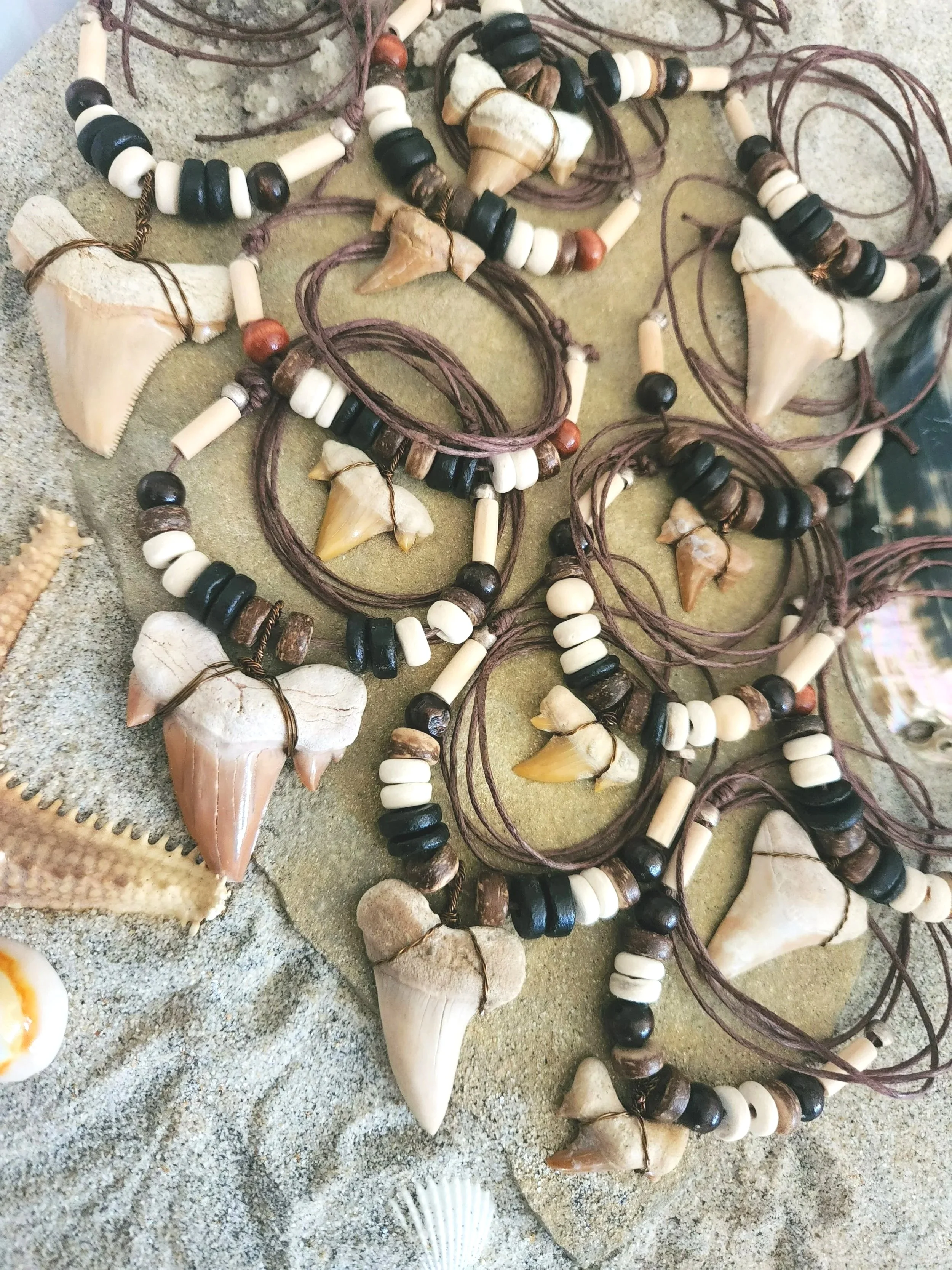 Shark Tooth Pendant Necklace: Powerful Otodus