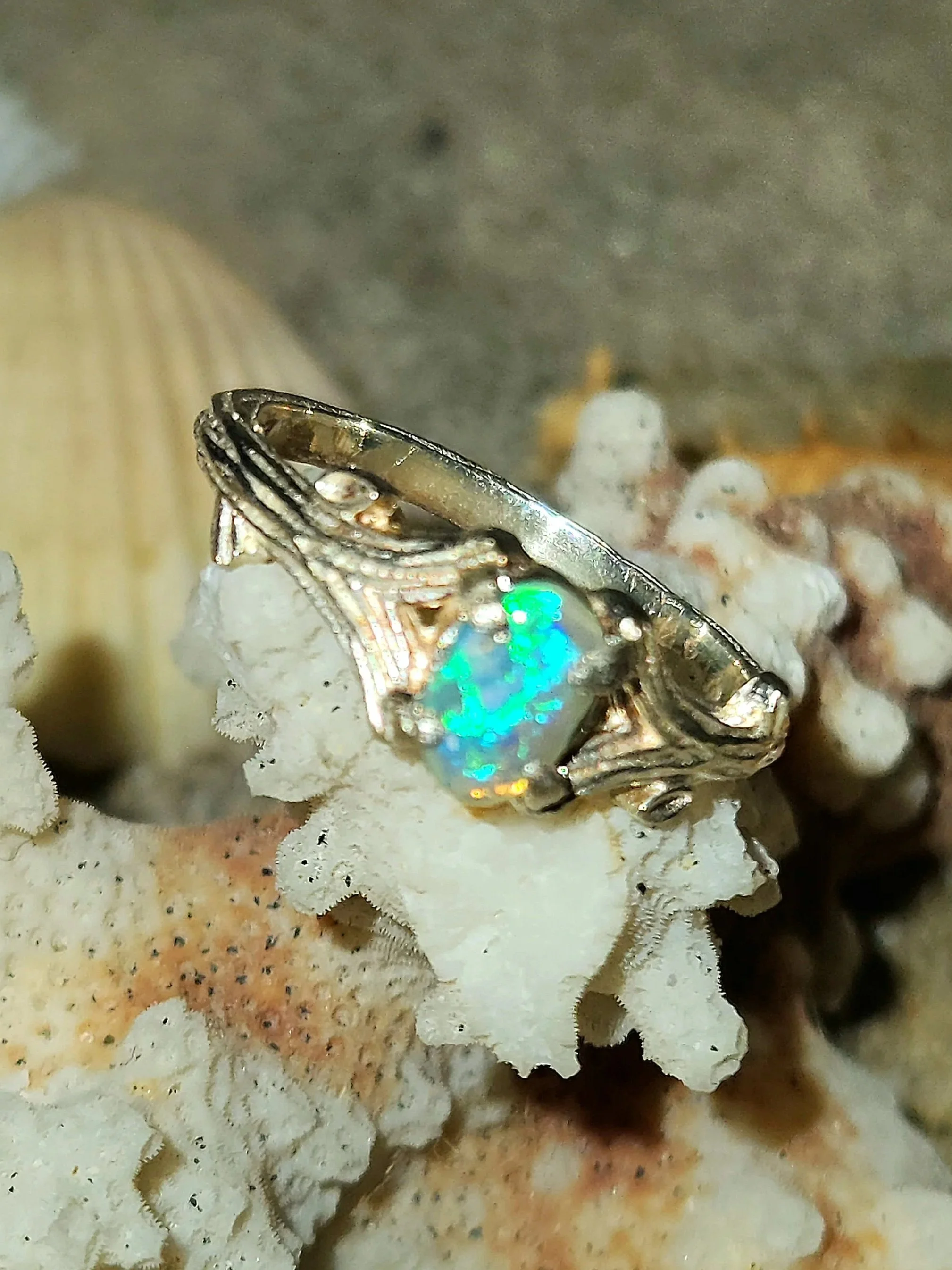 20260615_103836.jpg
